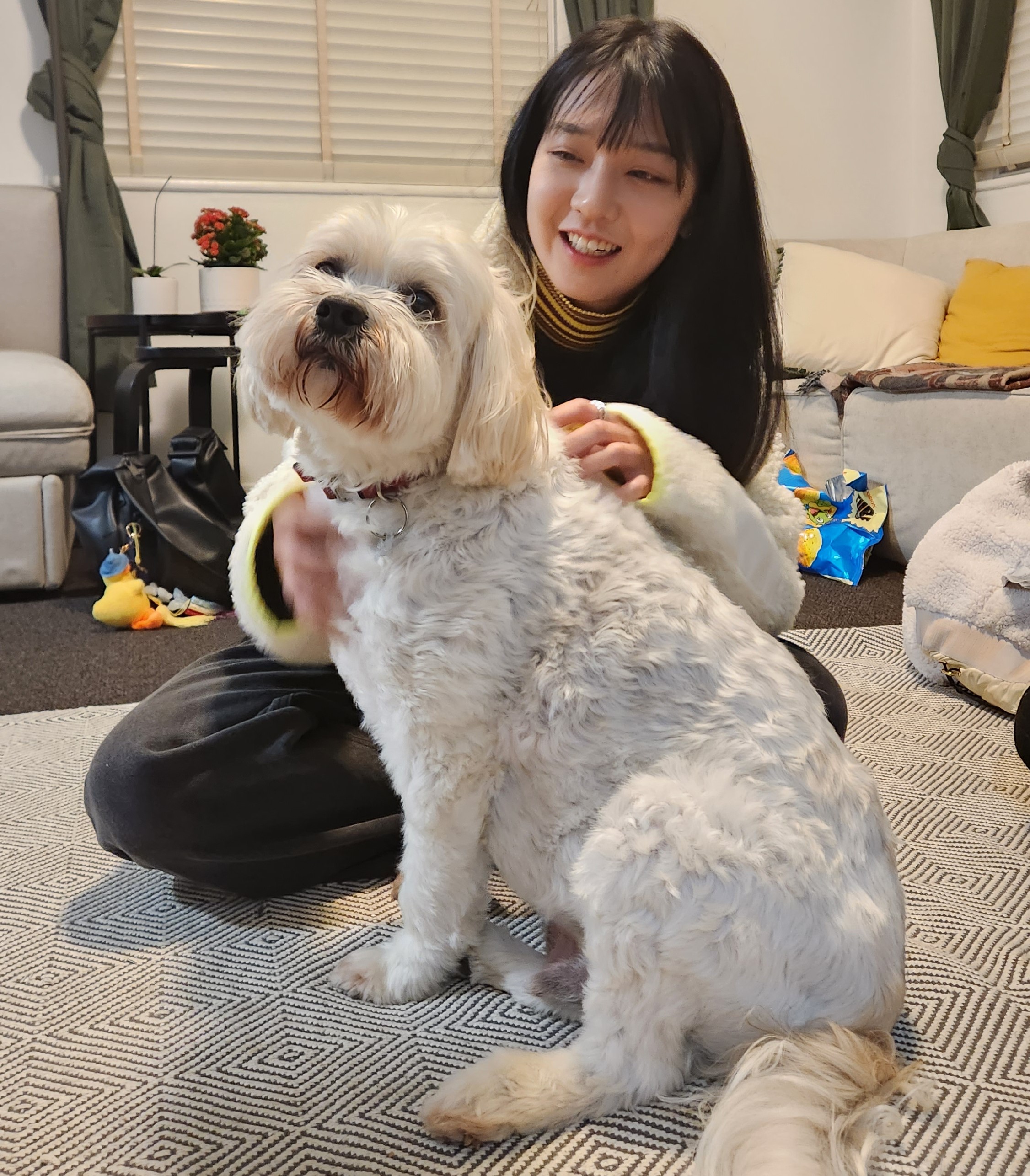 image-12