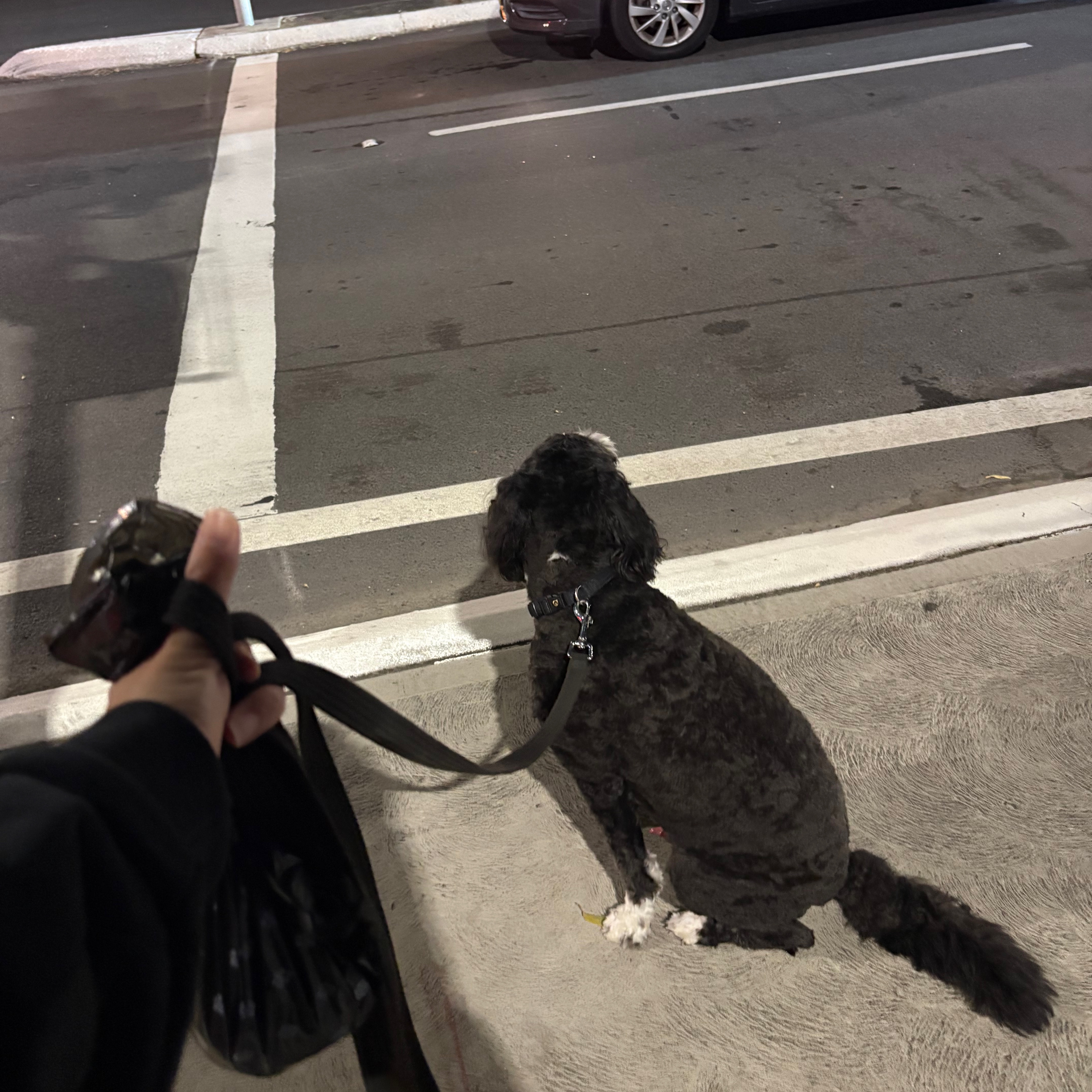 image-5