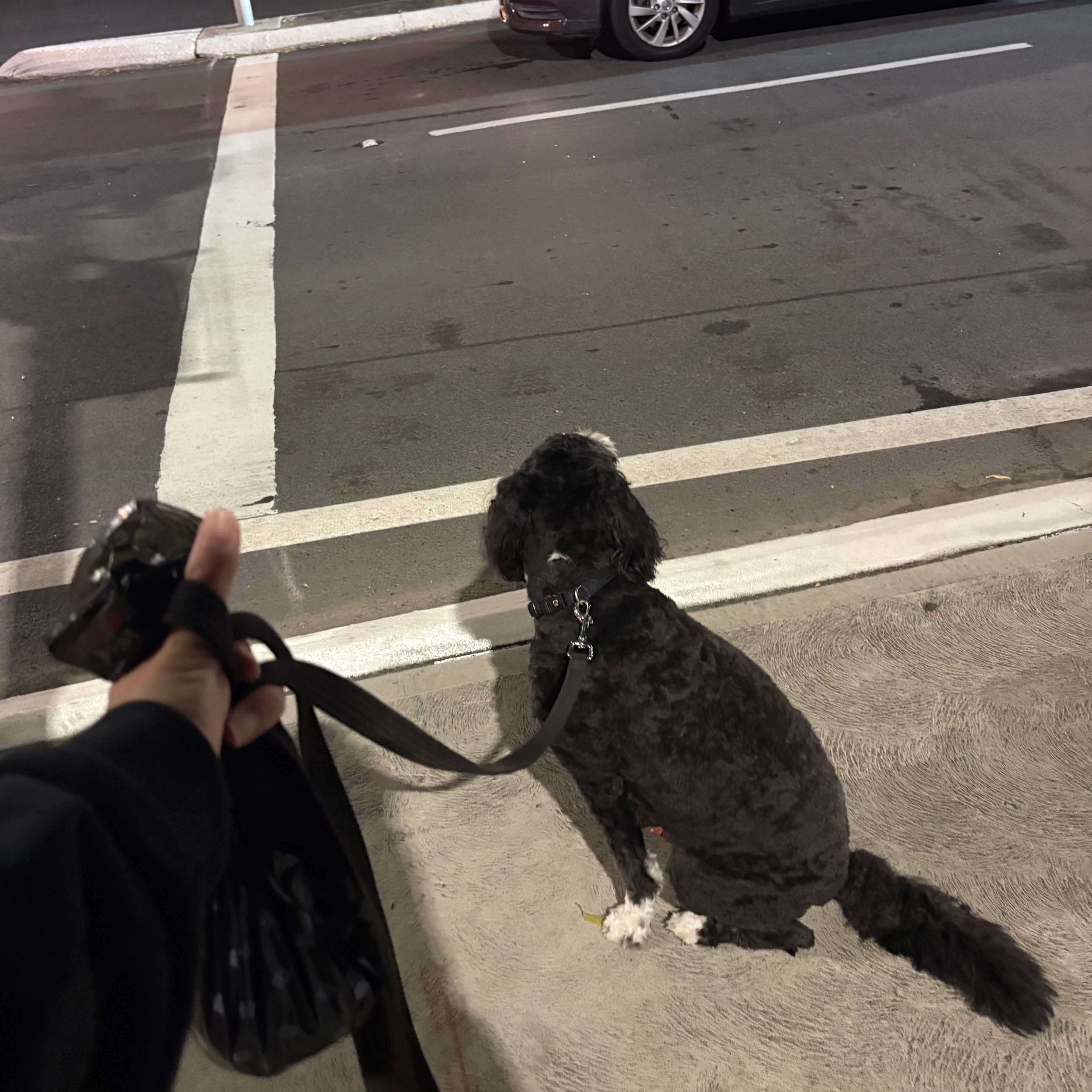 image-5