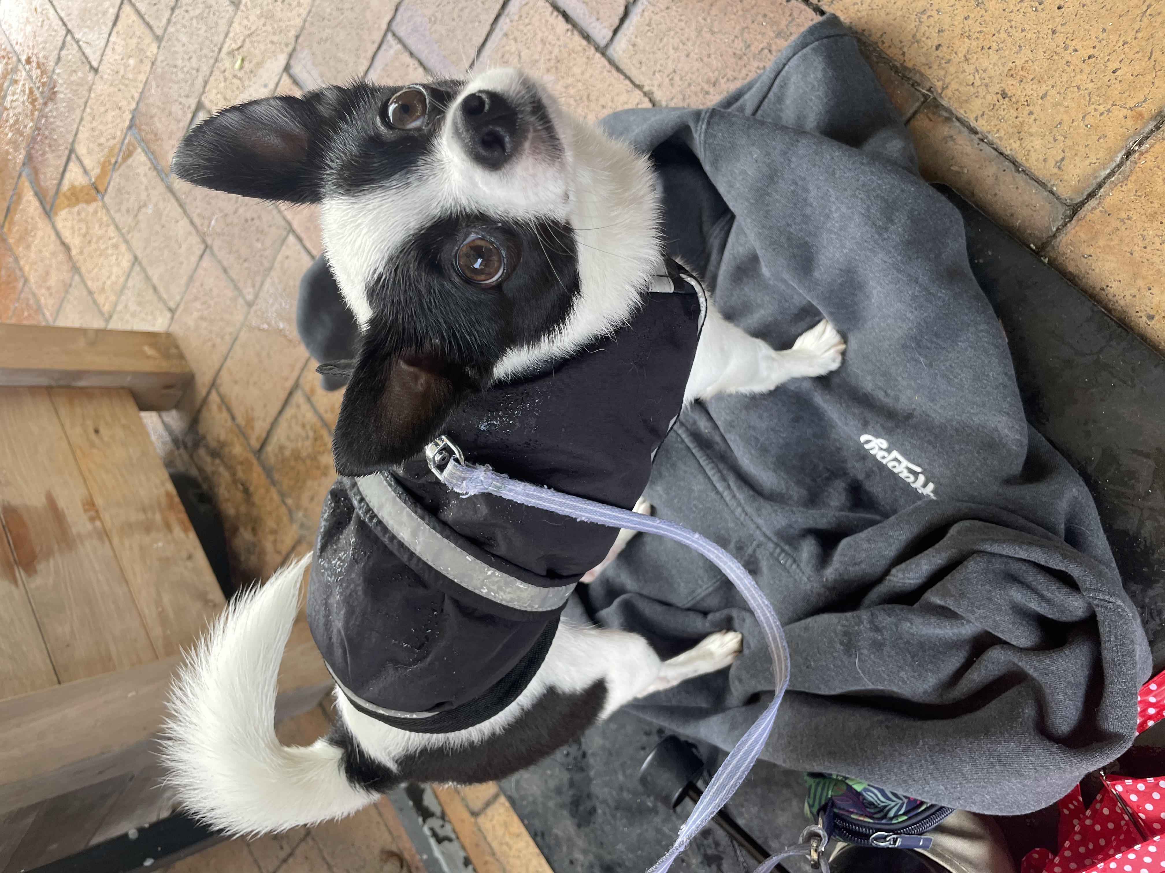 image-11