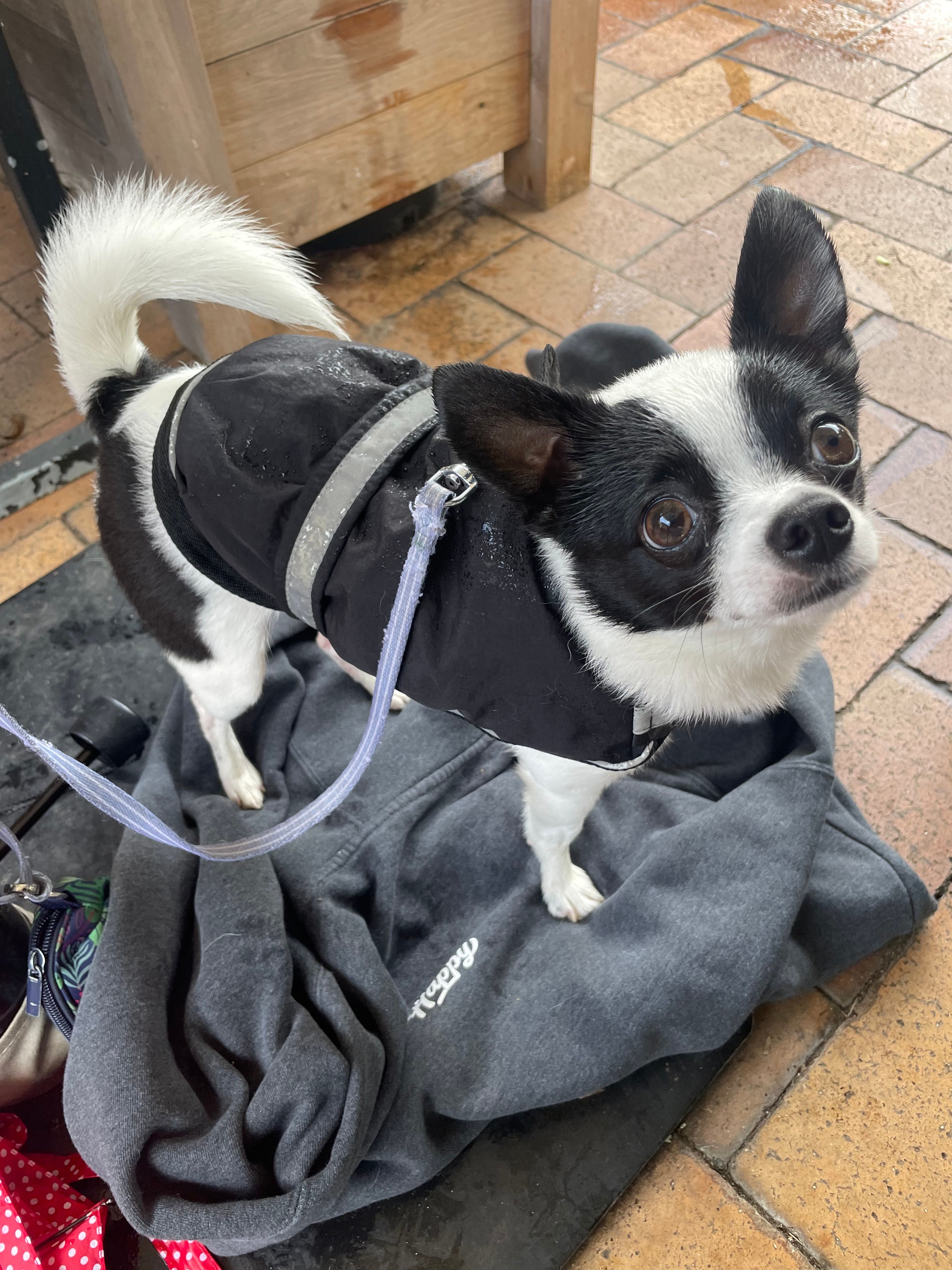 image-11
