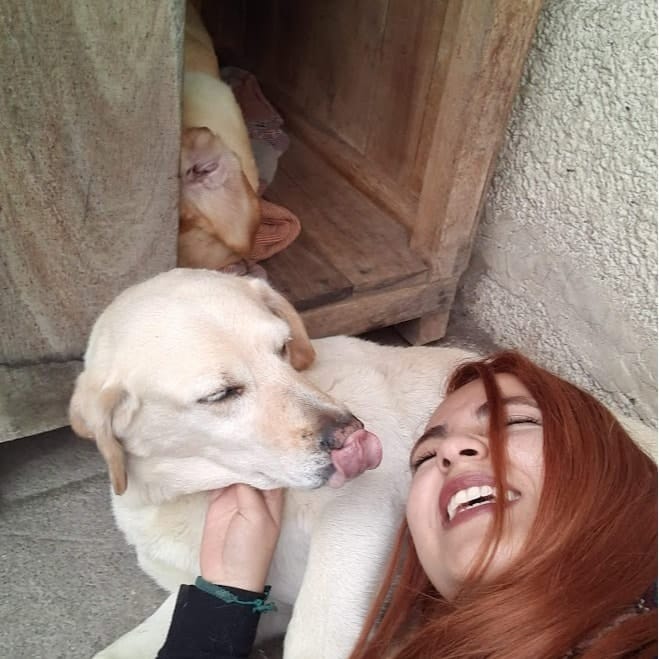 Dulce