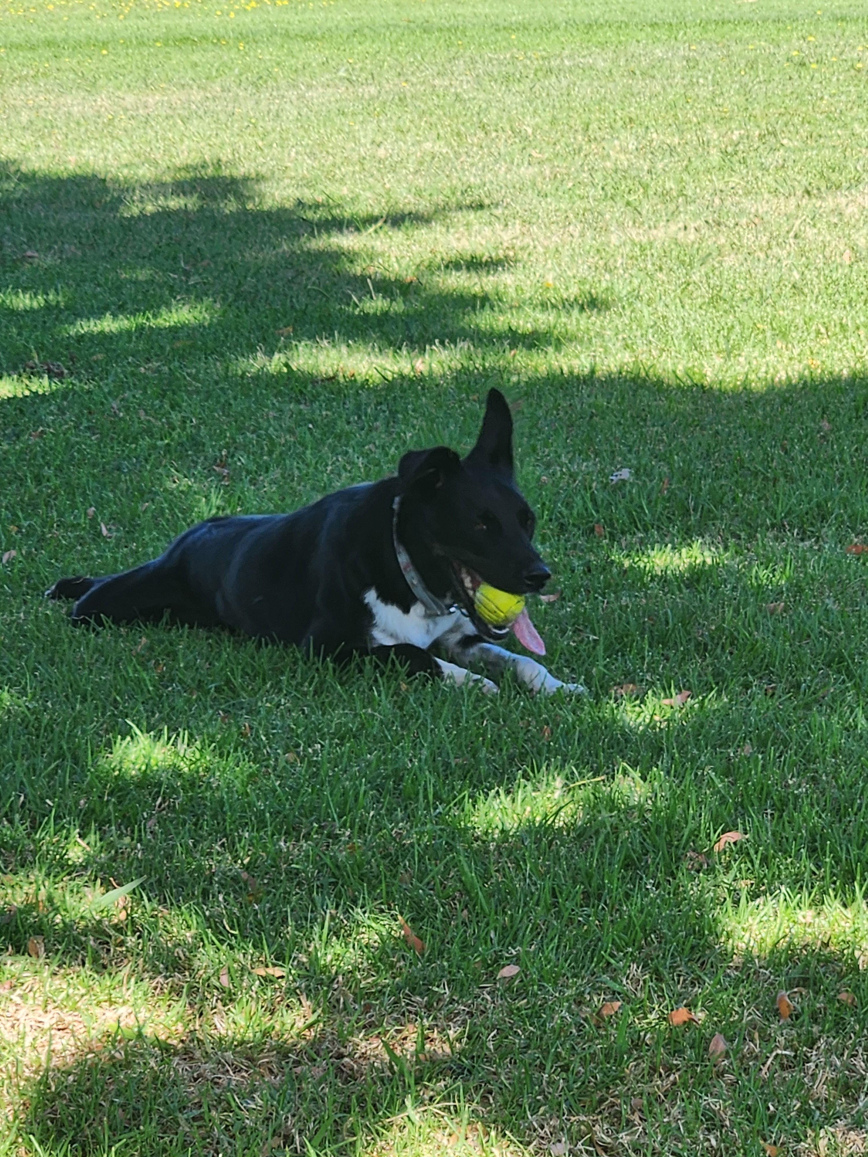 image-1