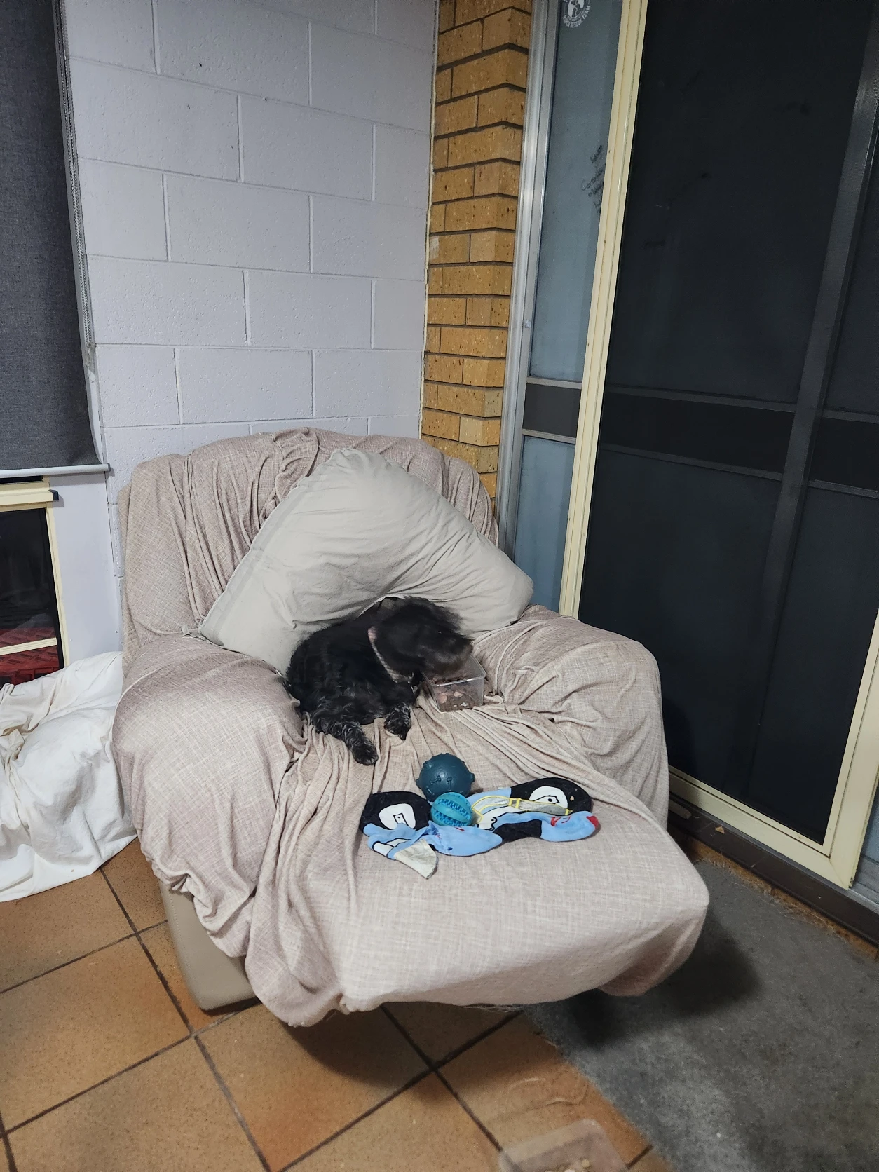 image-13