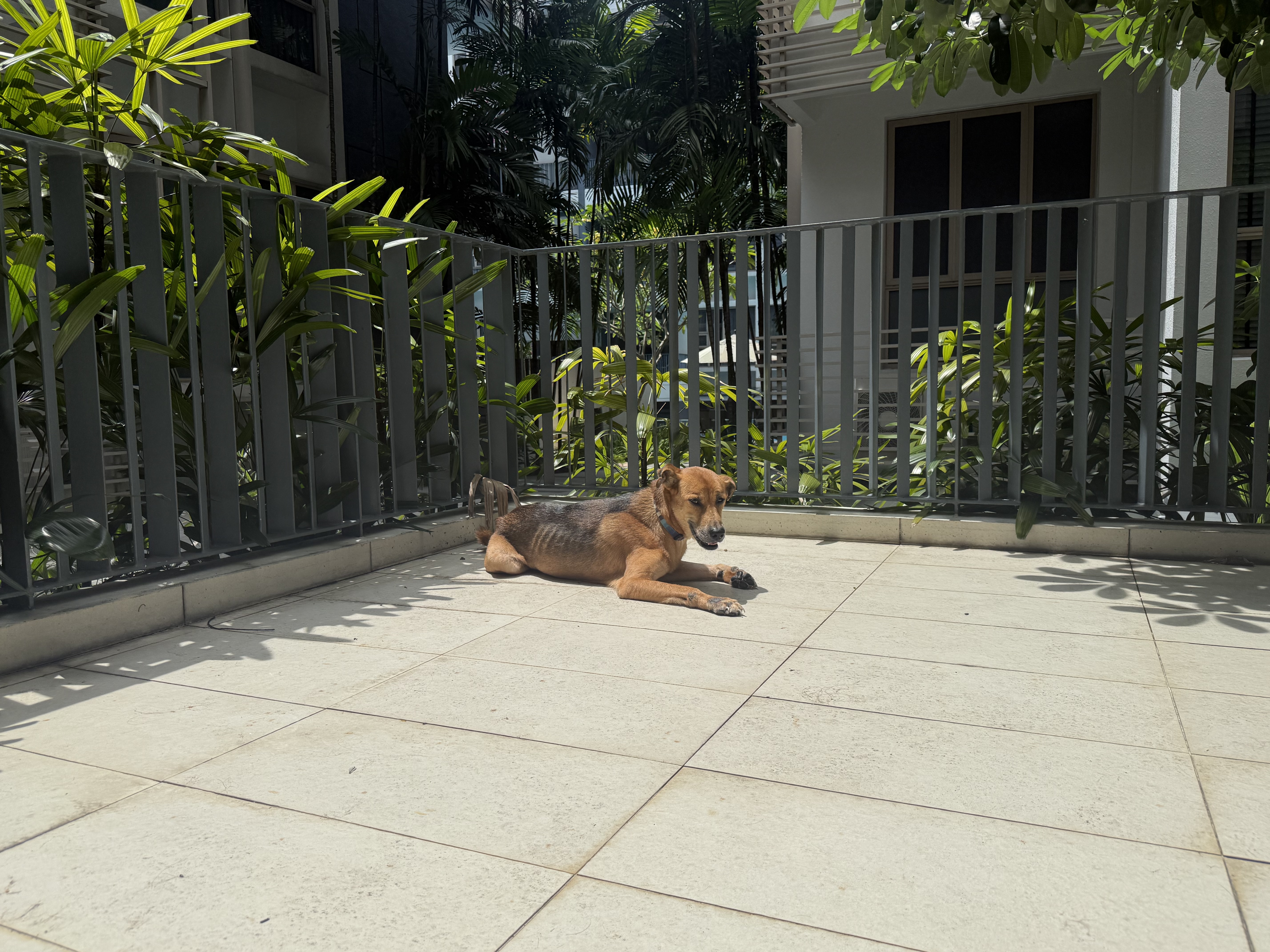 image-3