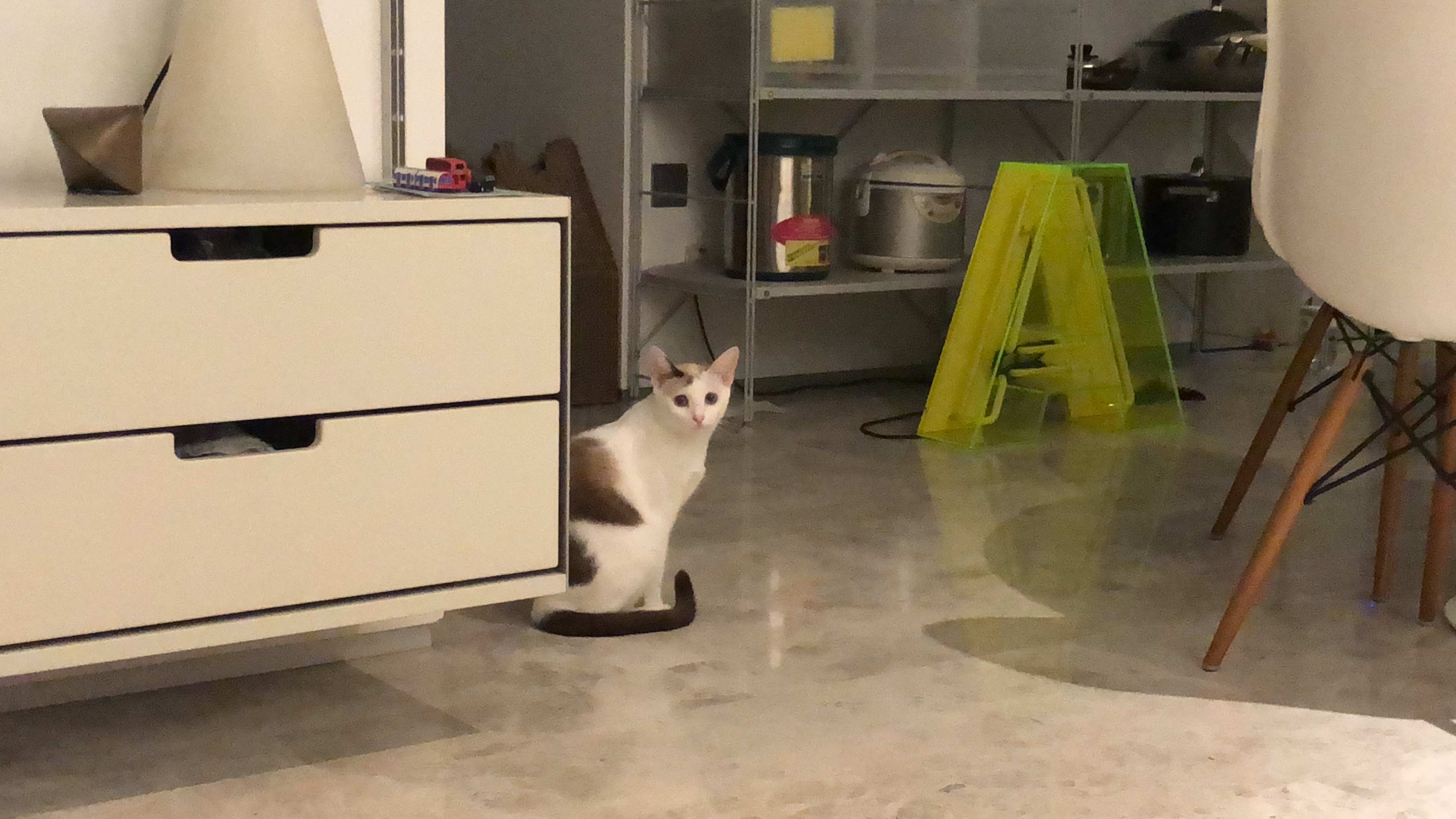 image-7