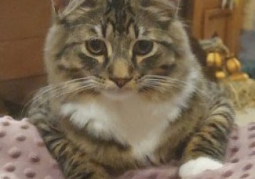 Winston 