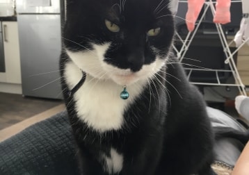Louis