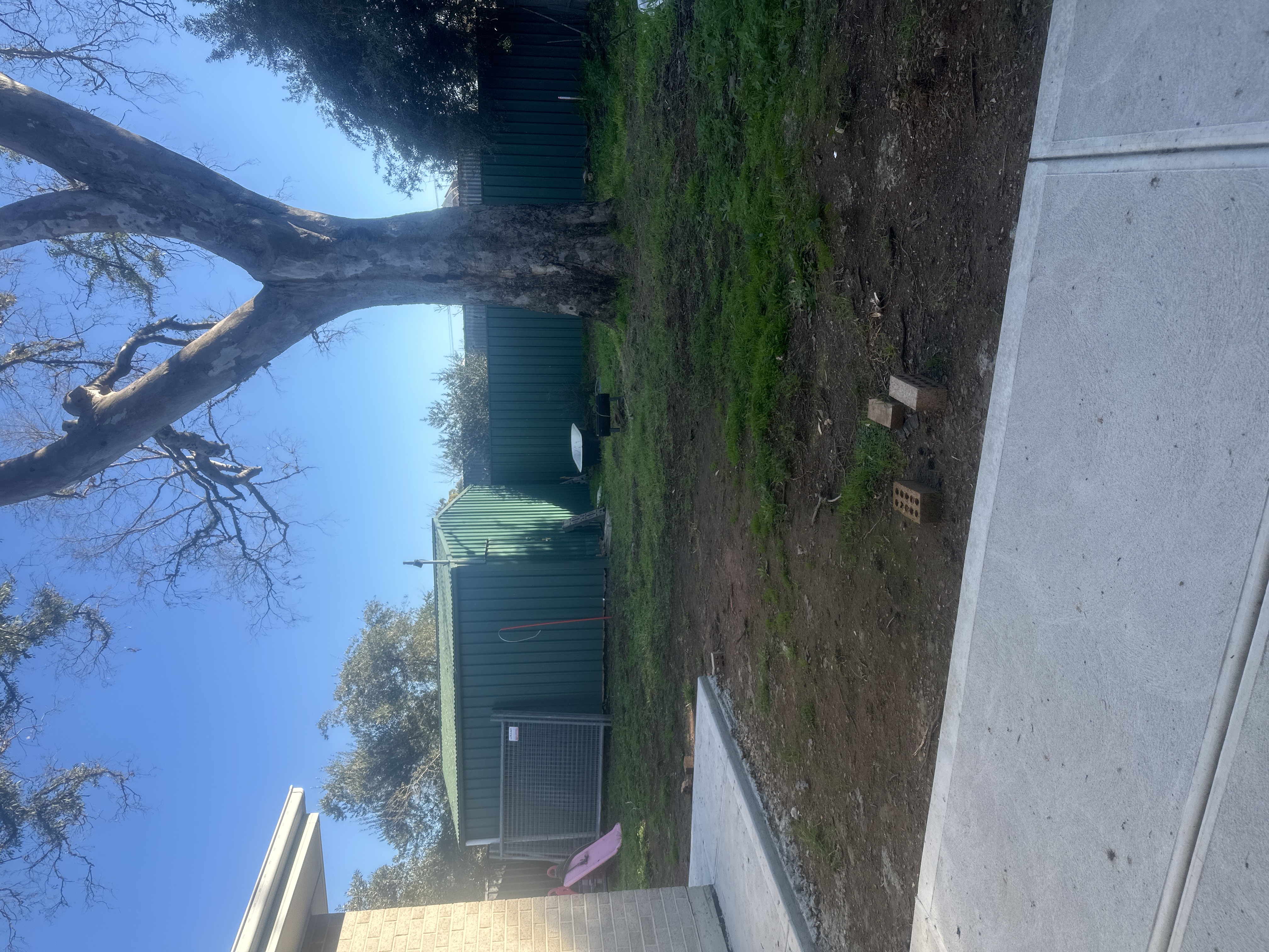 image-12