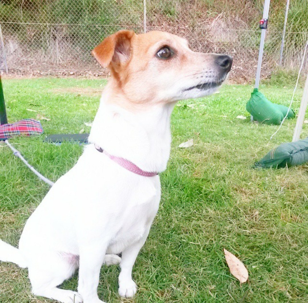 image-1