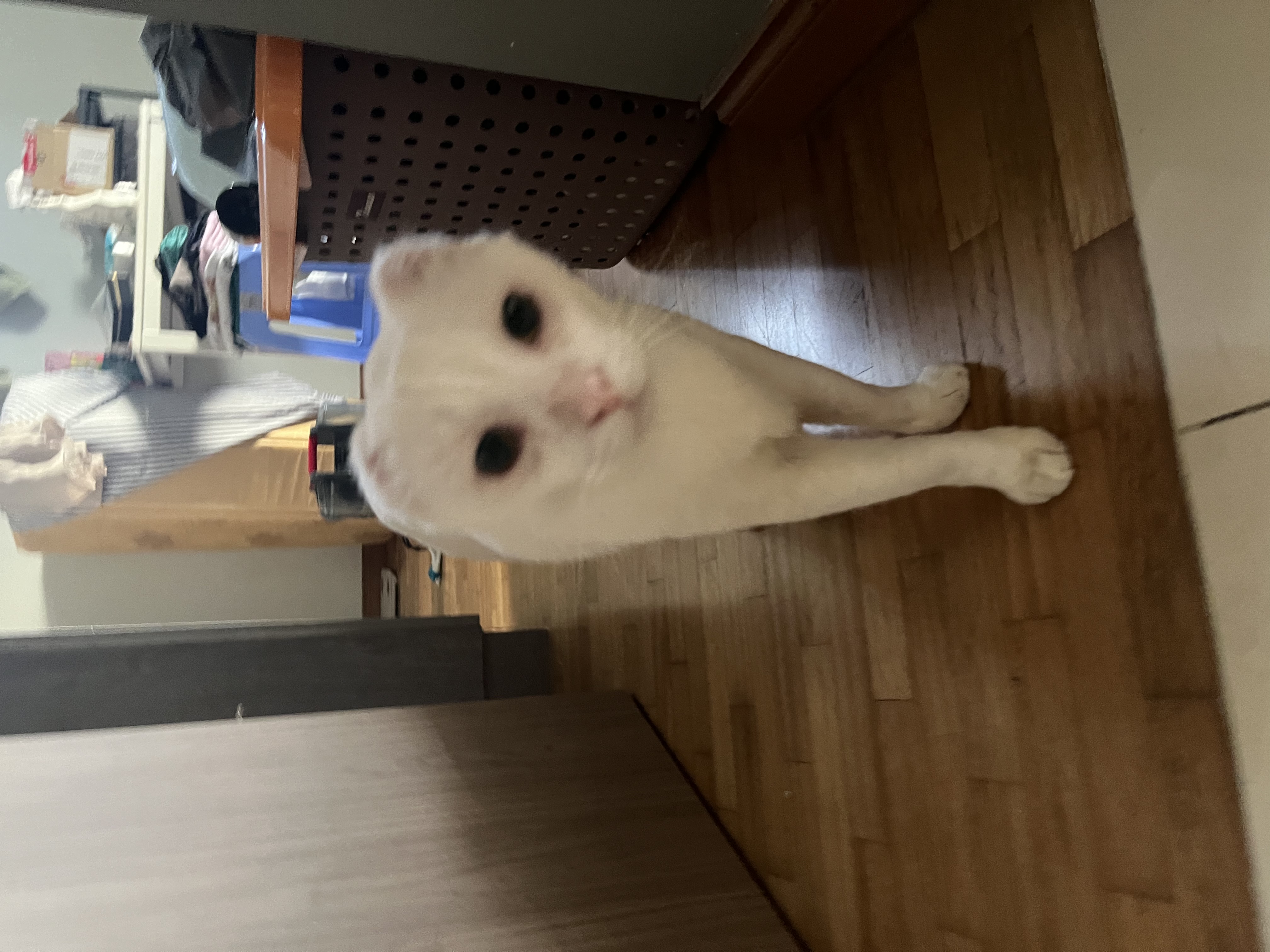 image-8