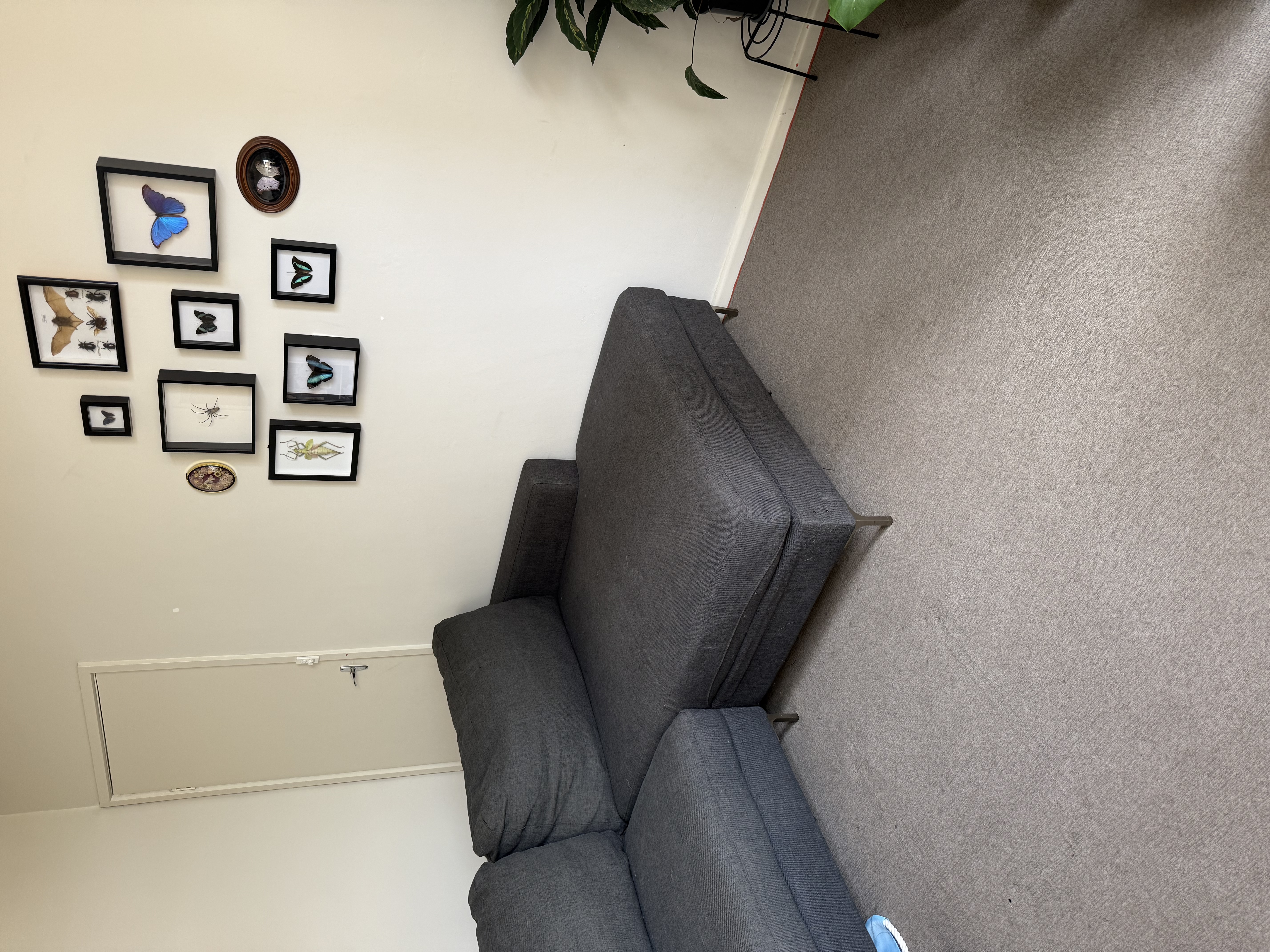 image-18