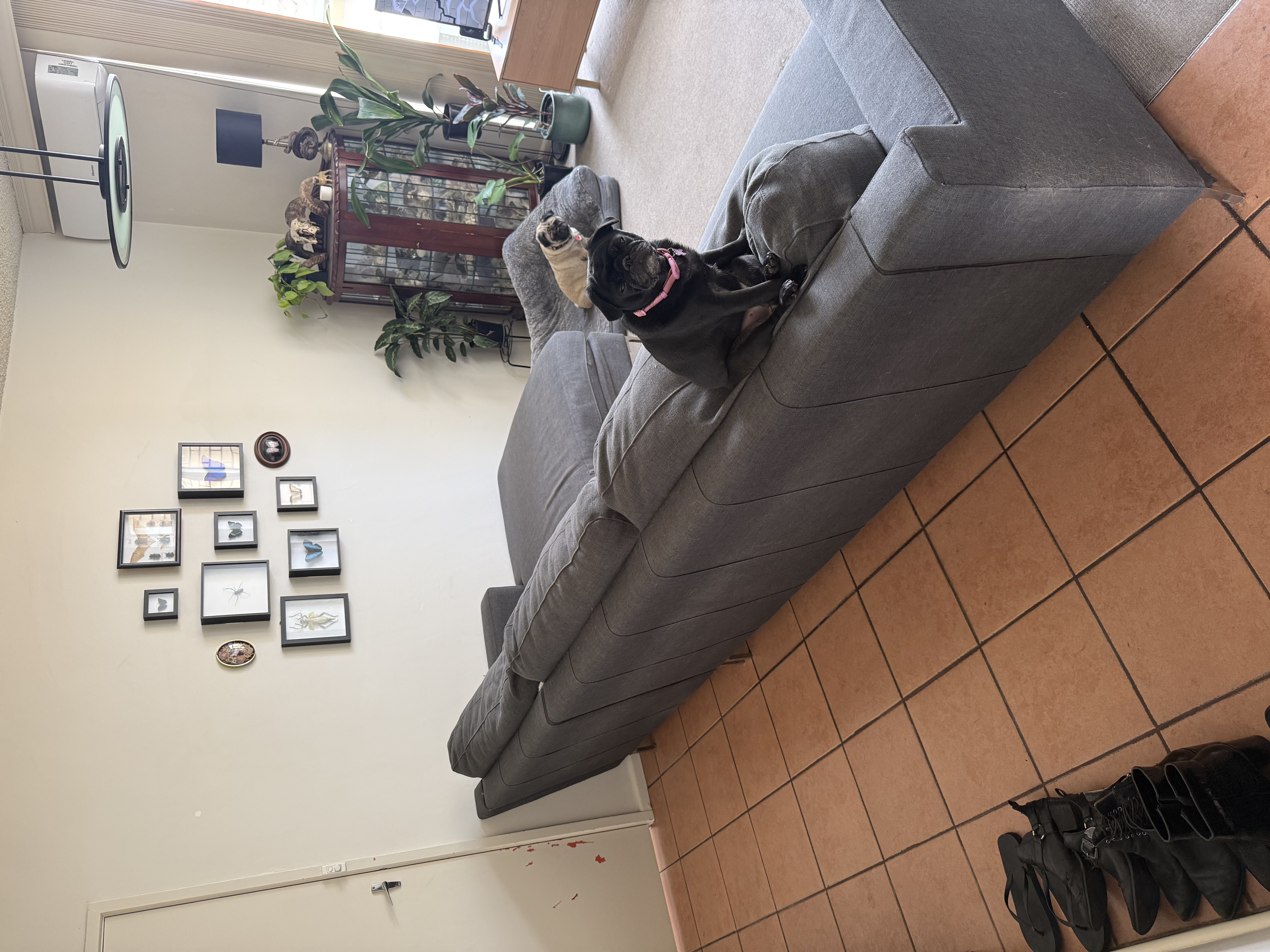 image-16