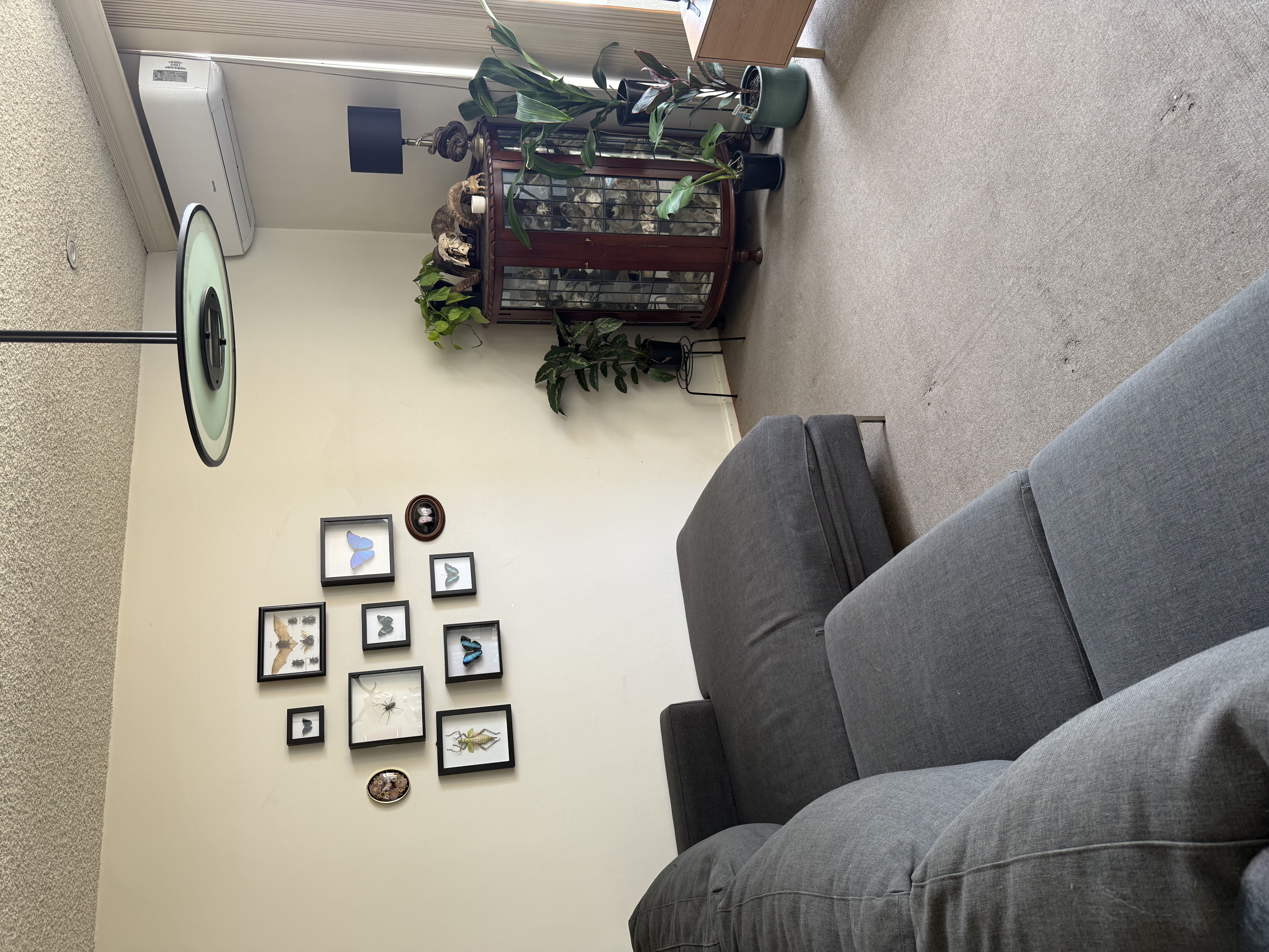 image-17