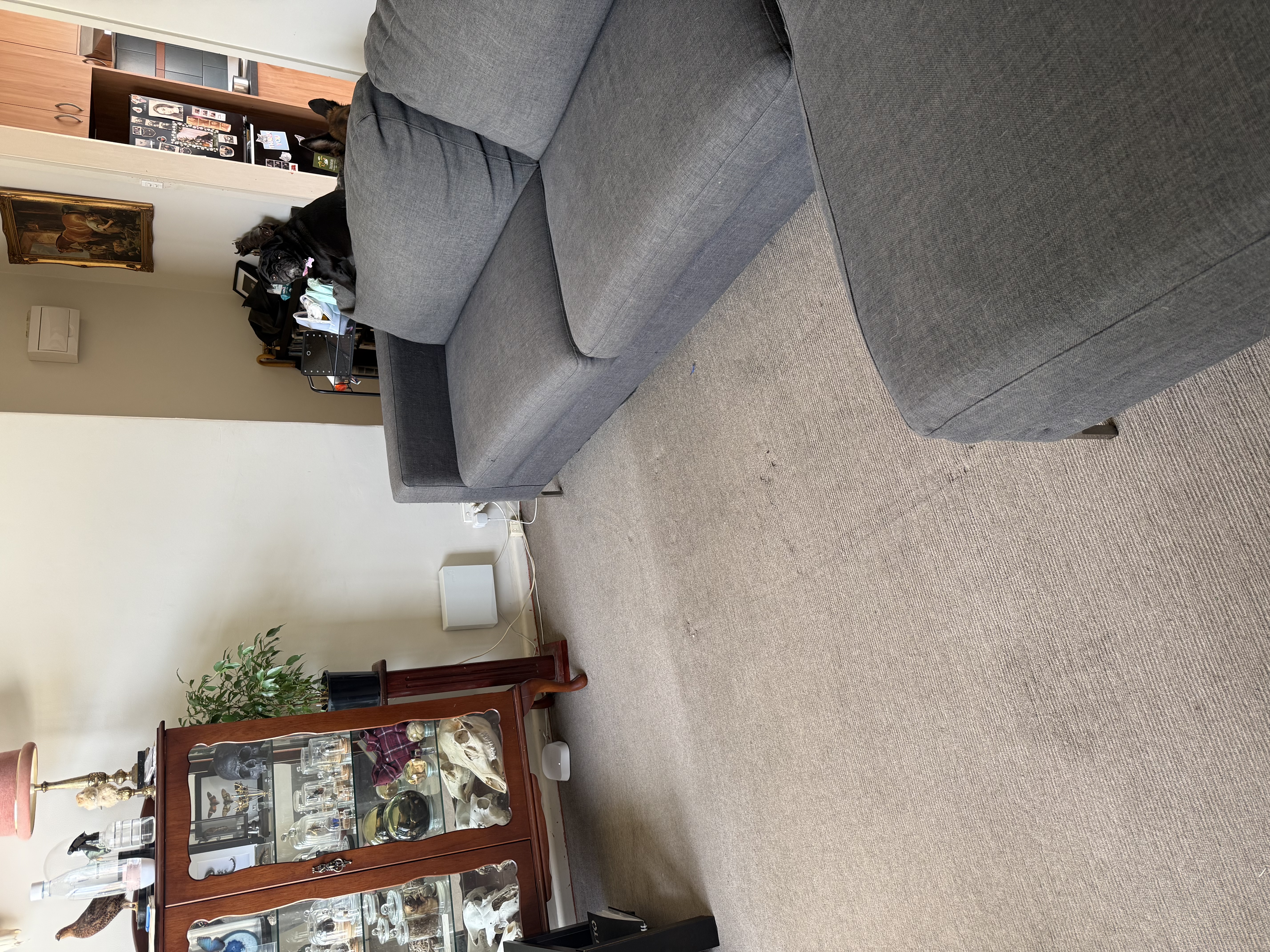 image-19