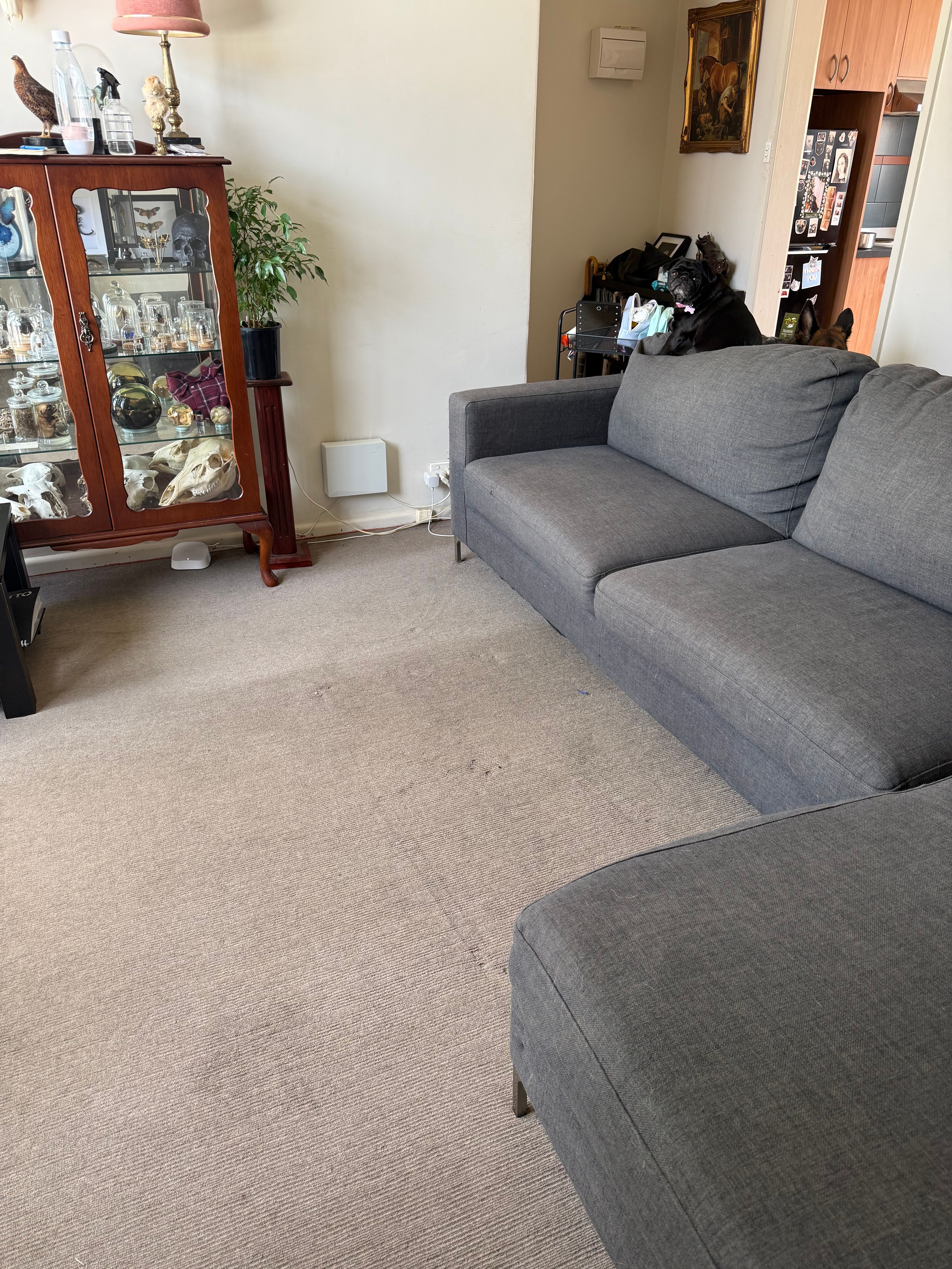 image-19