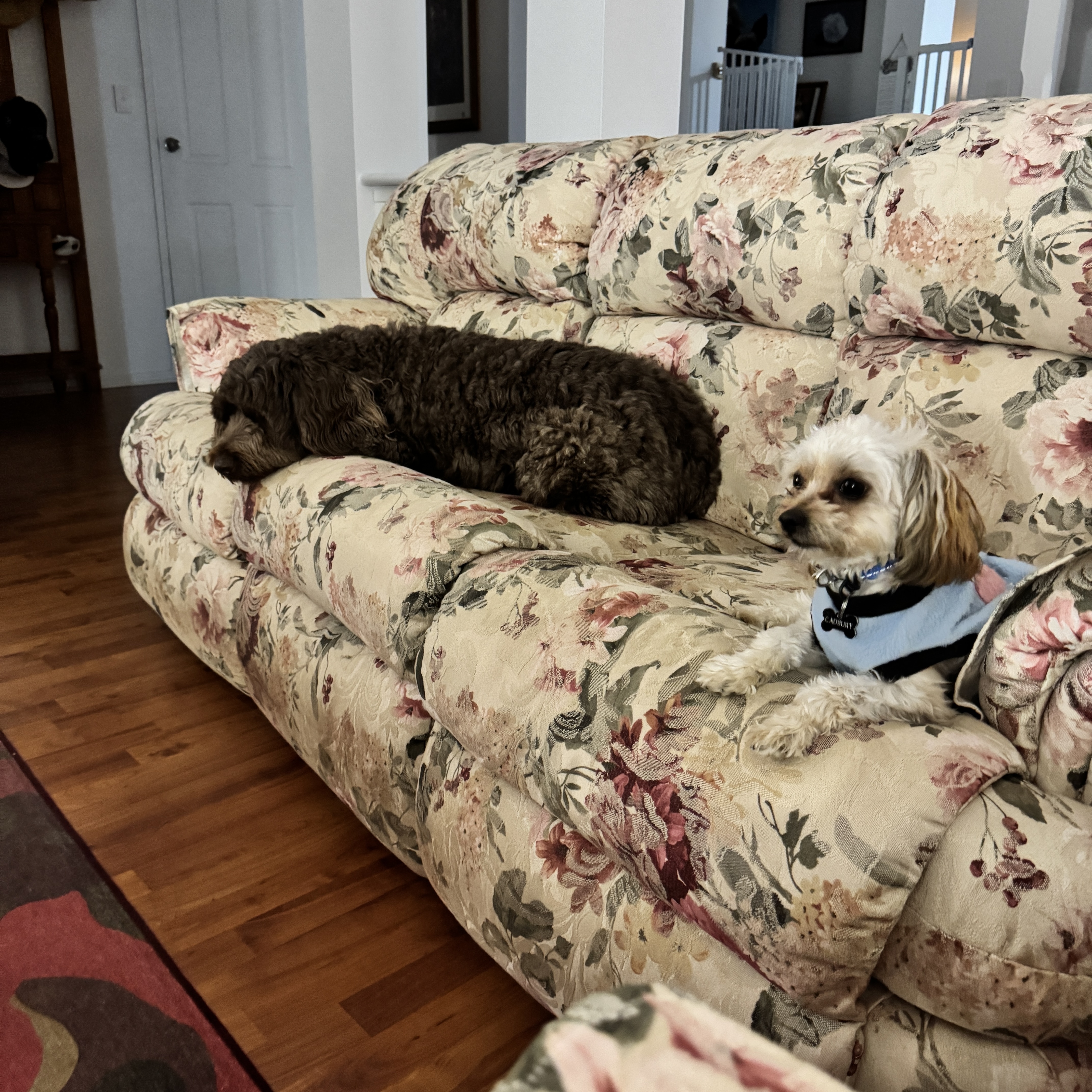 image-25