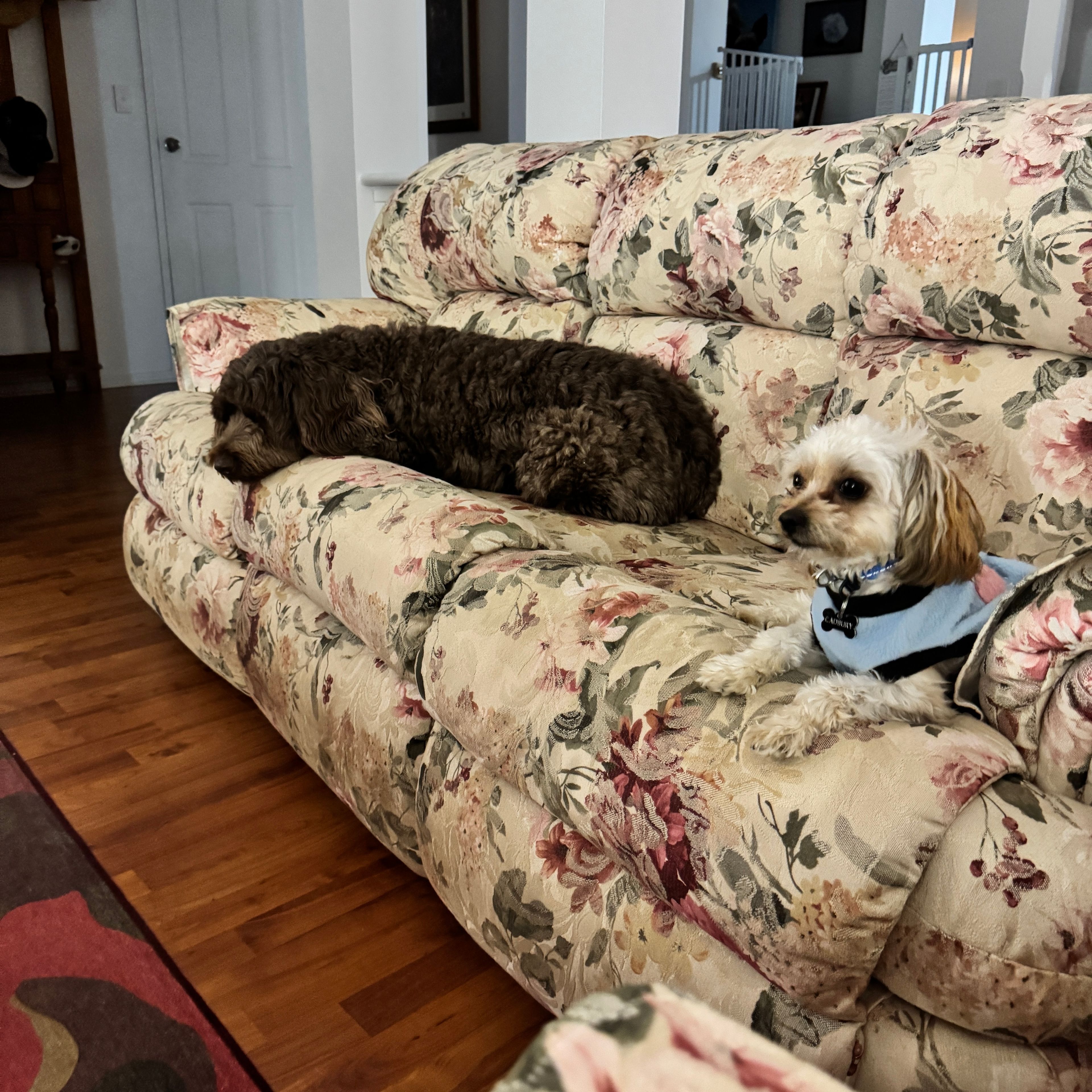 image-25