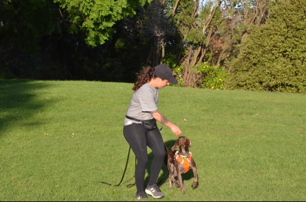 image-24