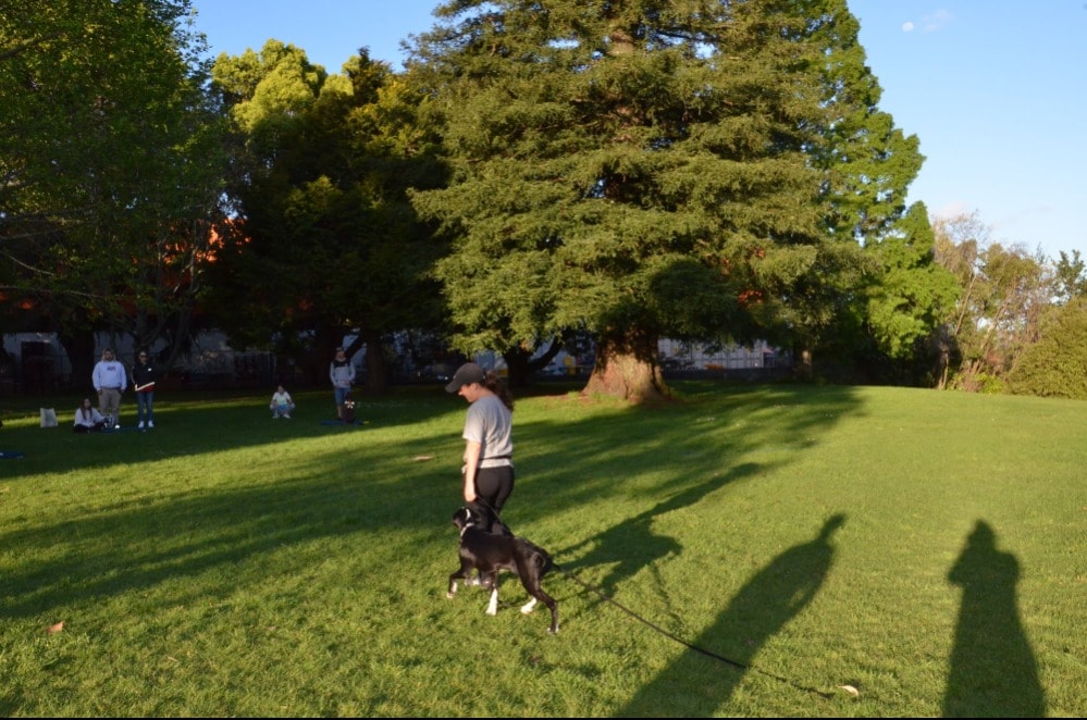 image-25