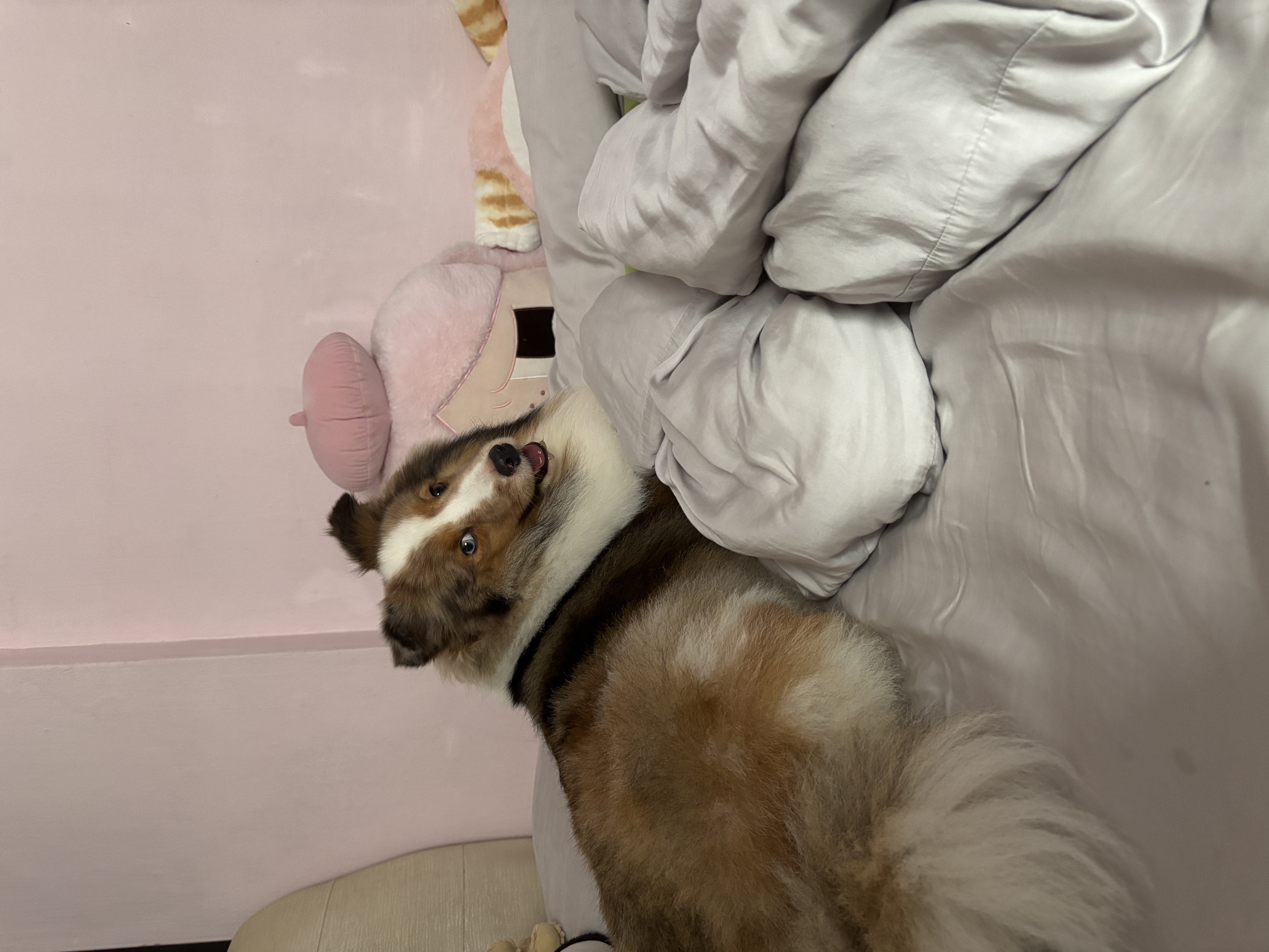 image-4