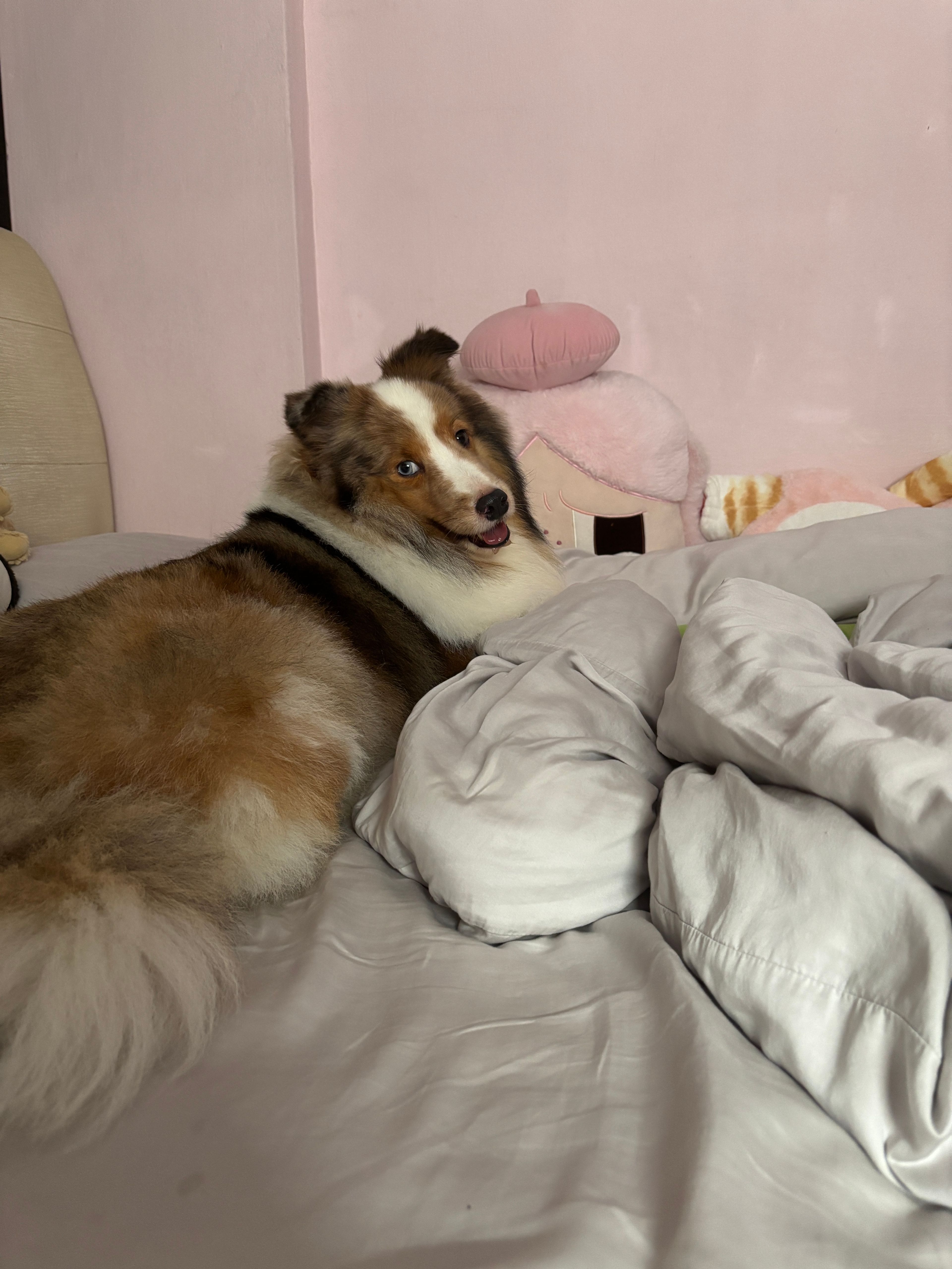image-4