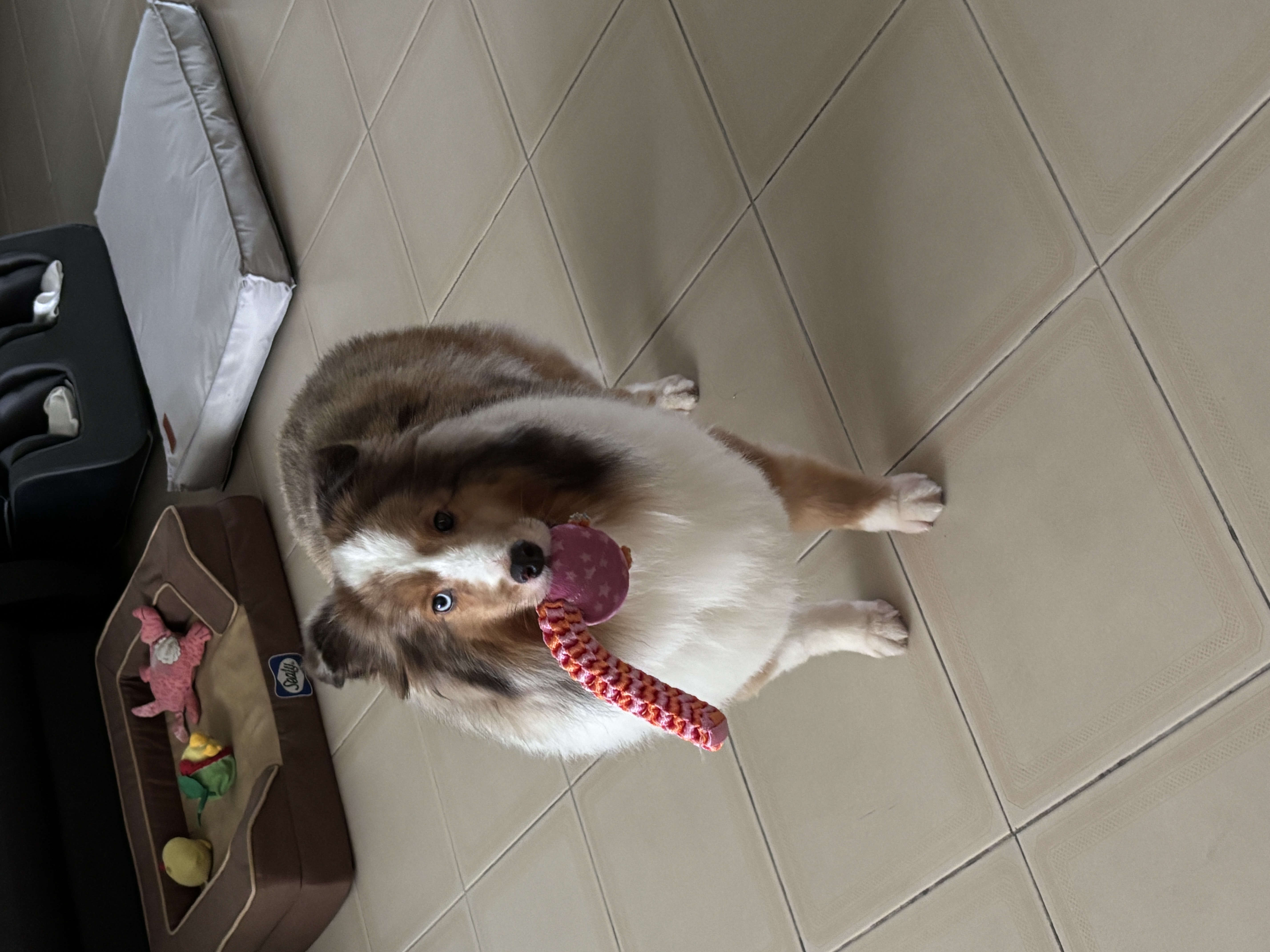 image-6