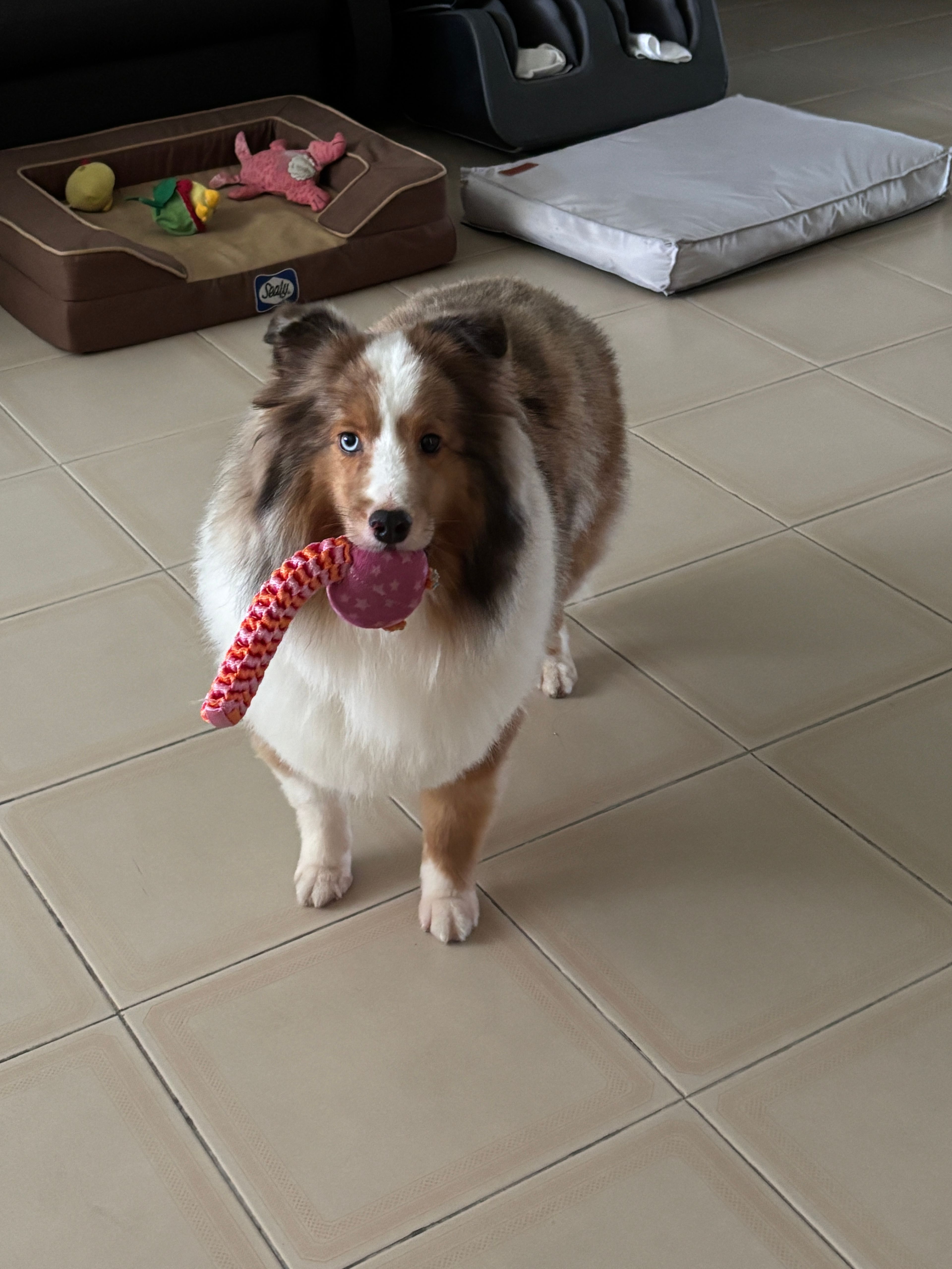 image-6