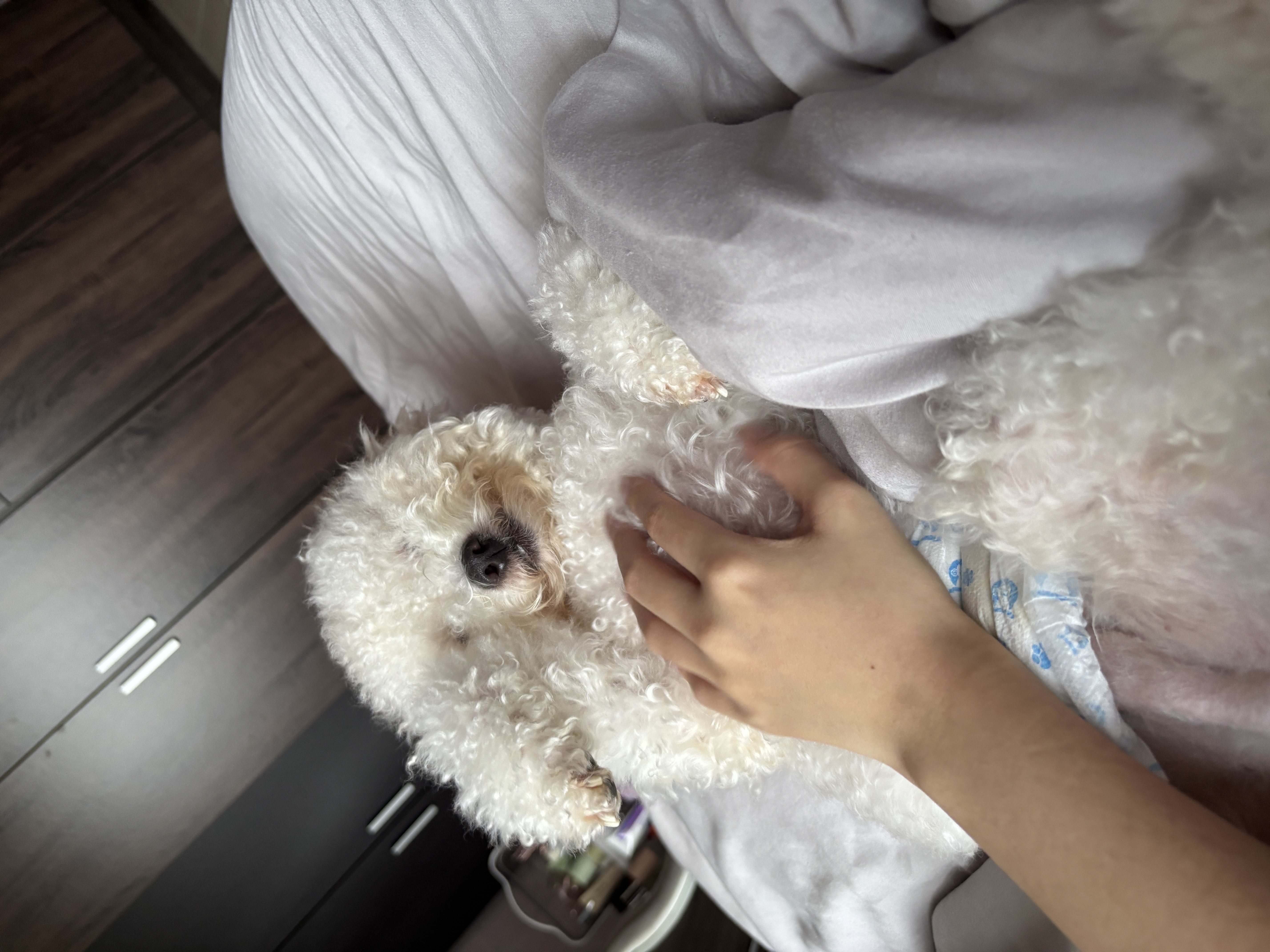 image-7