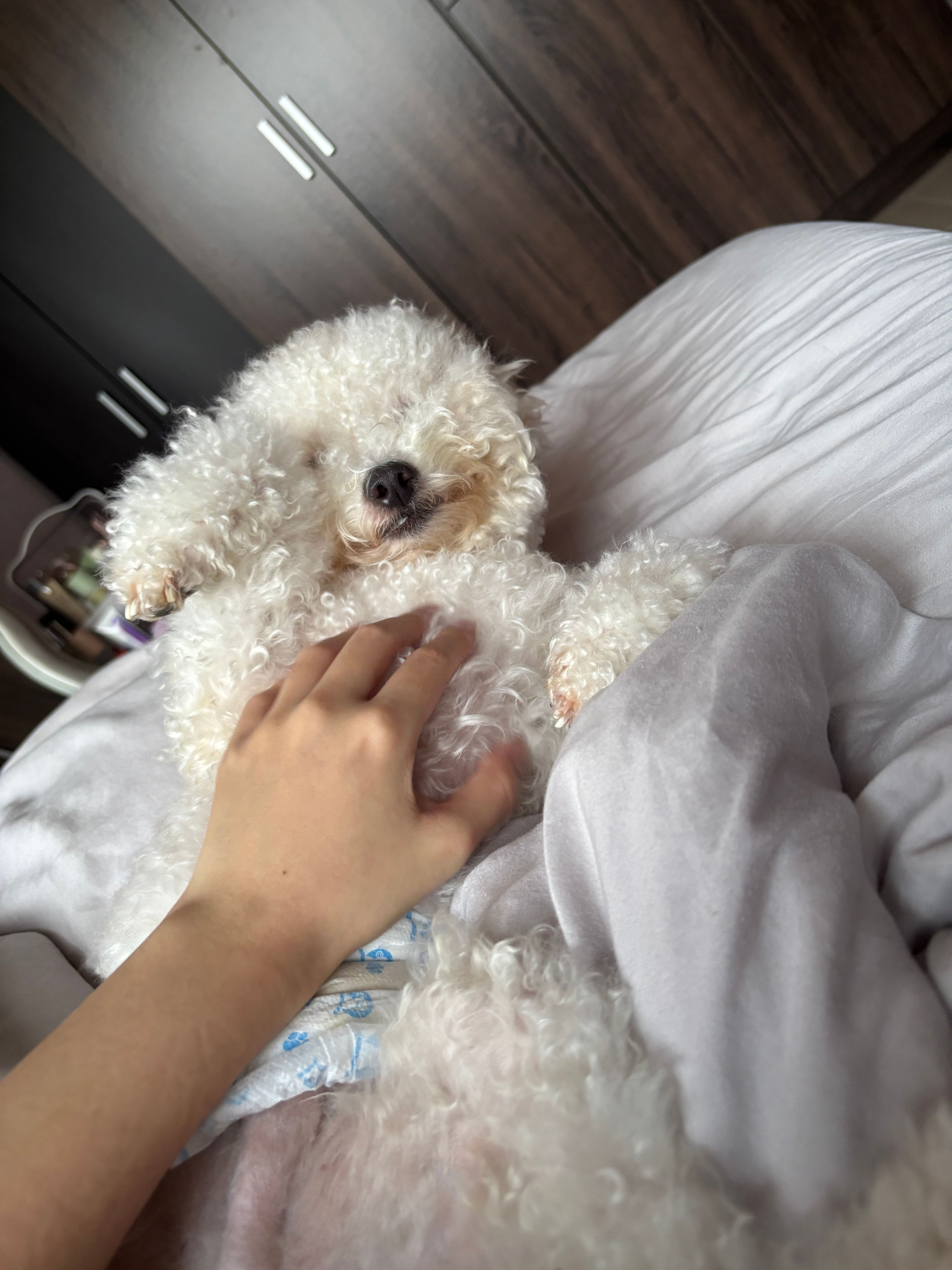image-7