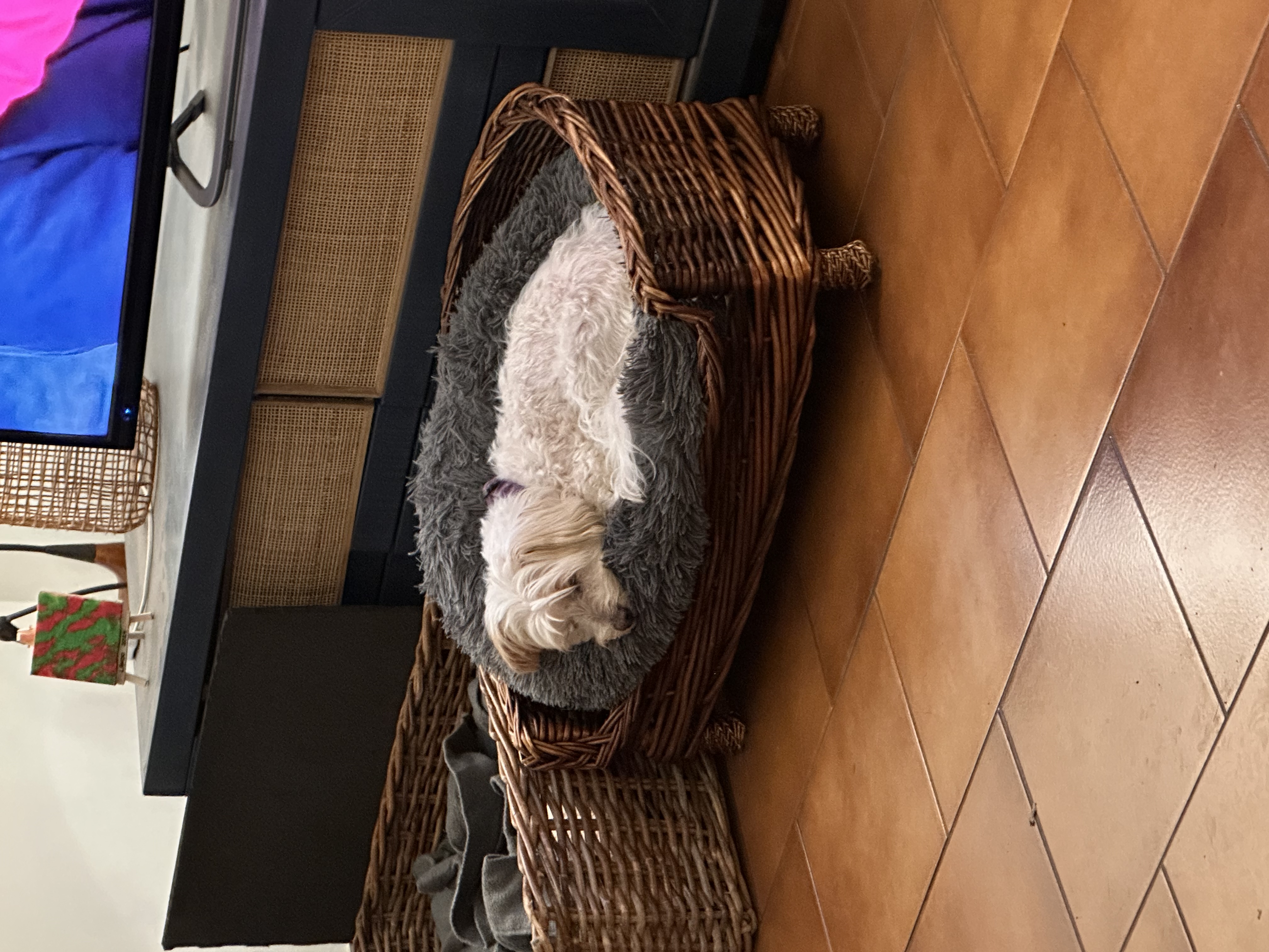 image-6