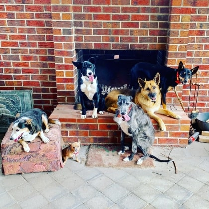 image-9