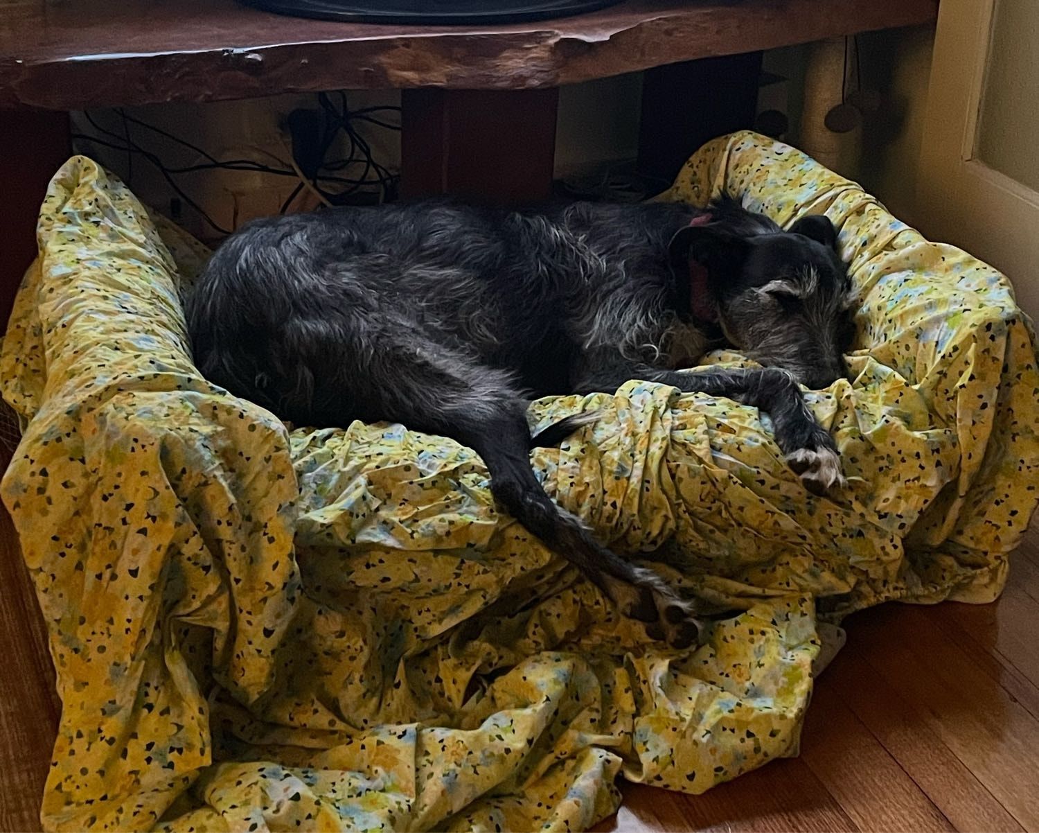 image-16
