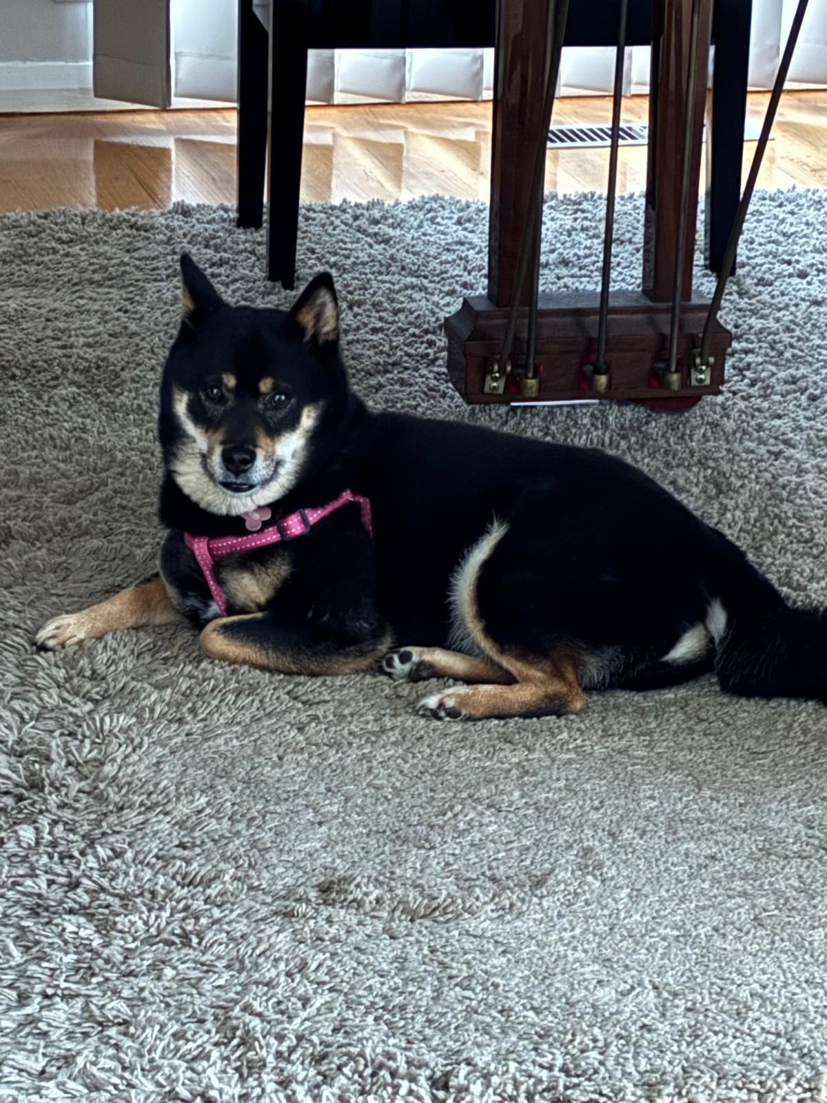 image-18
