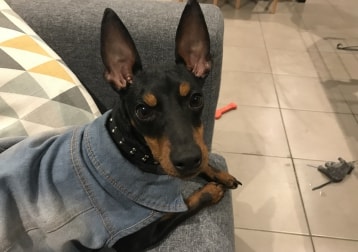 Coco
