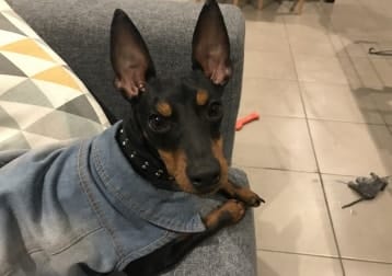 Coco