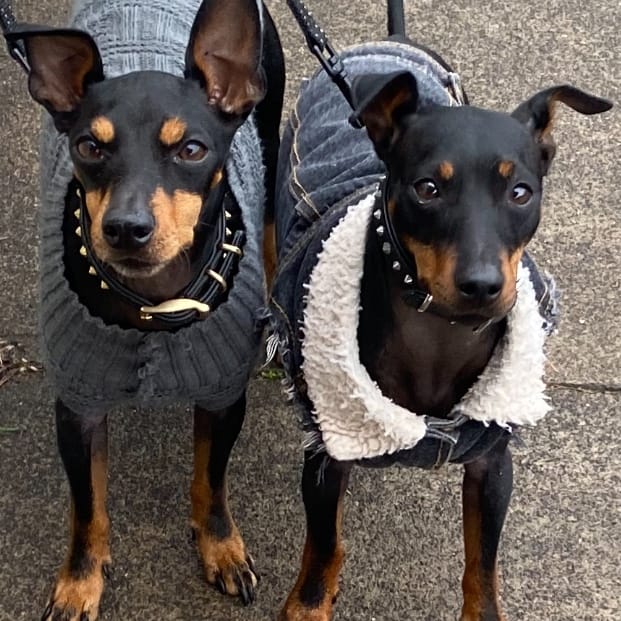 Coco and Minty