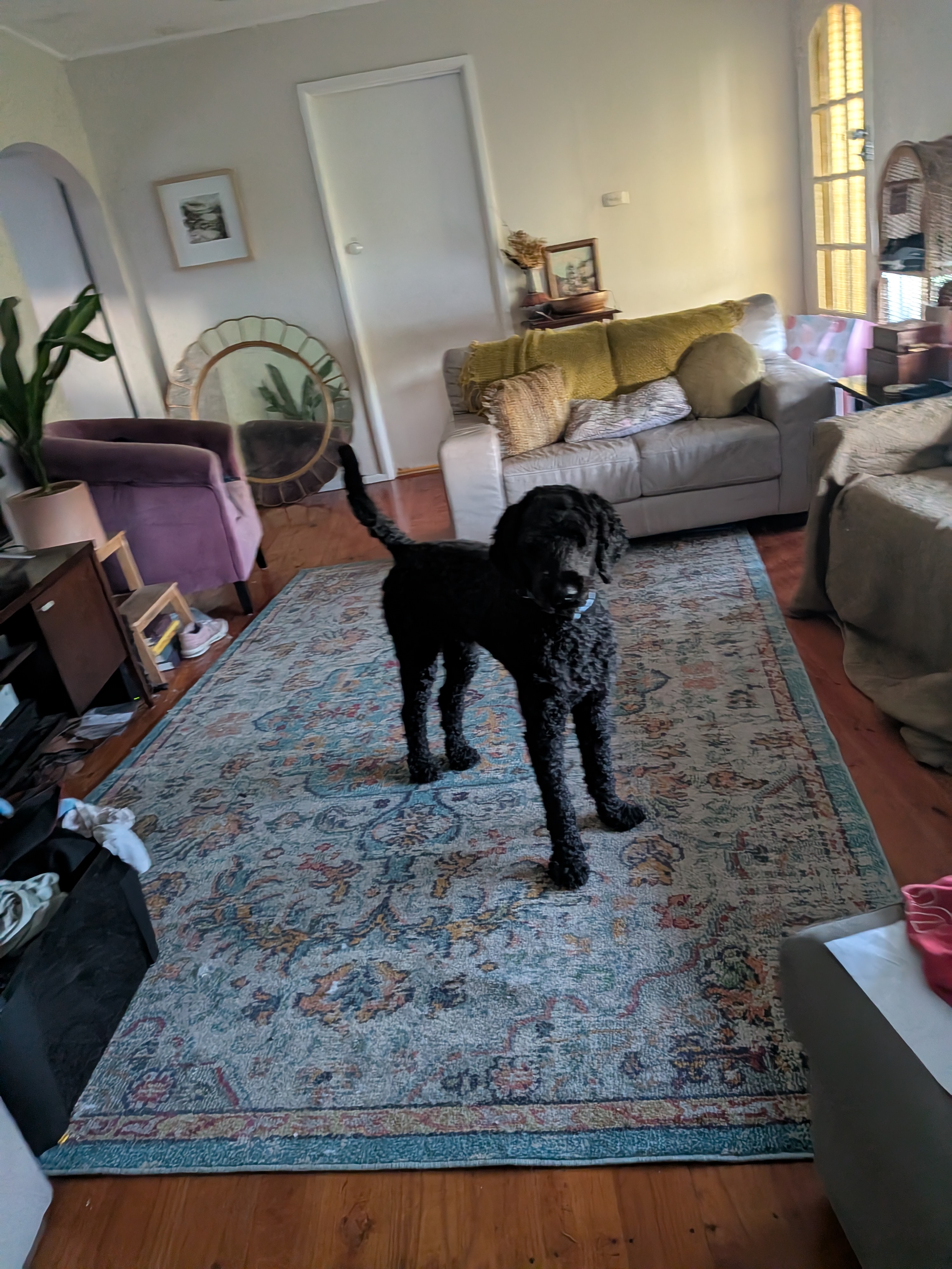 image-5