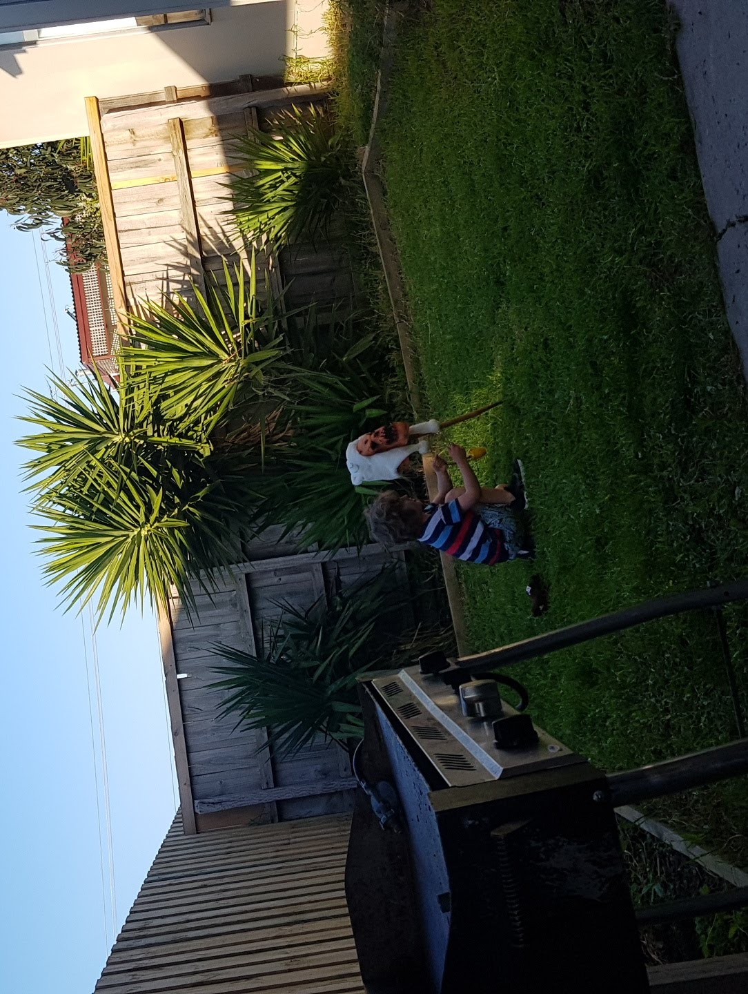 image-8