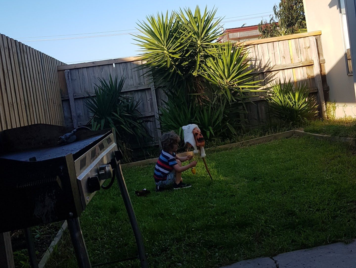 image-8
