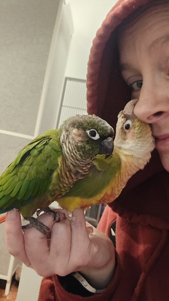 image-2