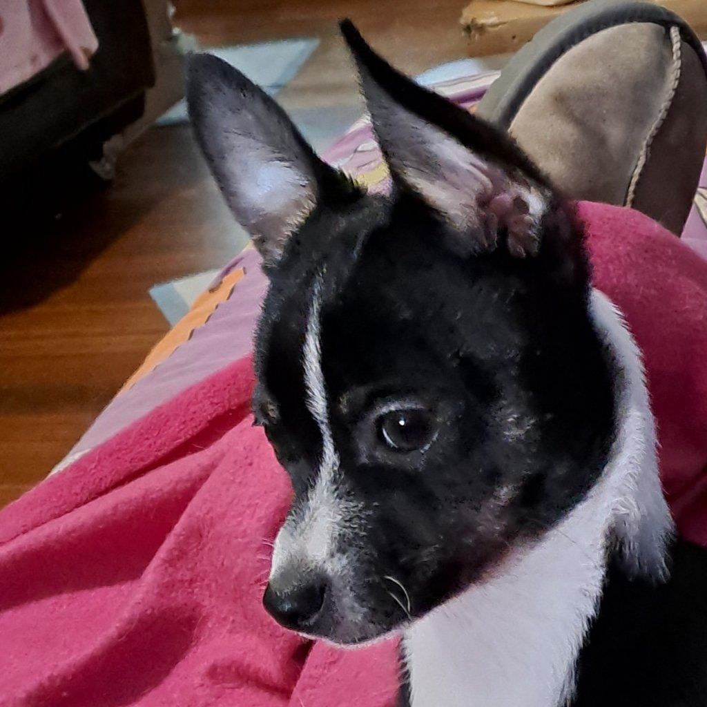 Casey