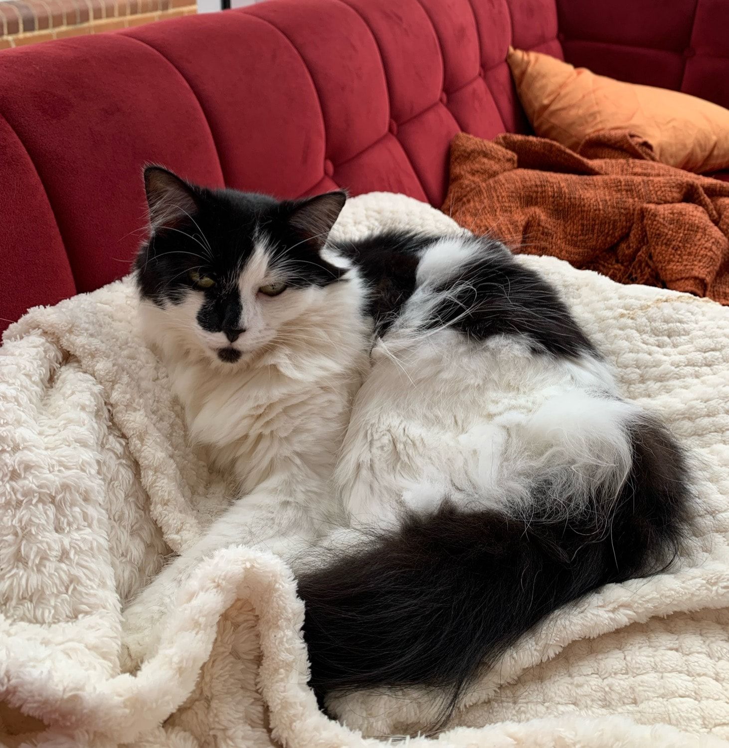 image-11