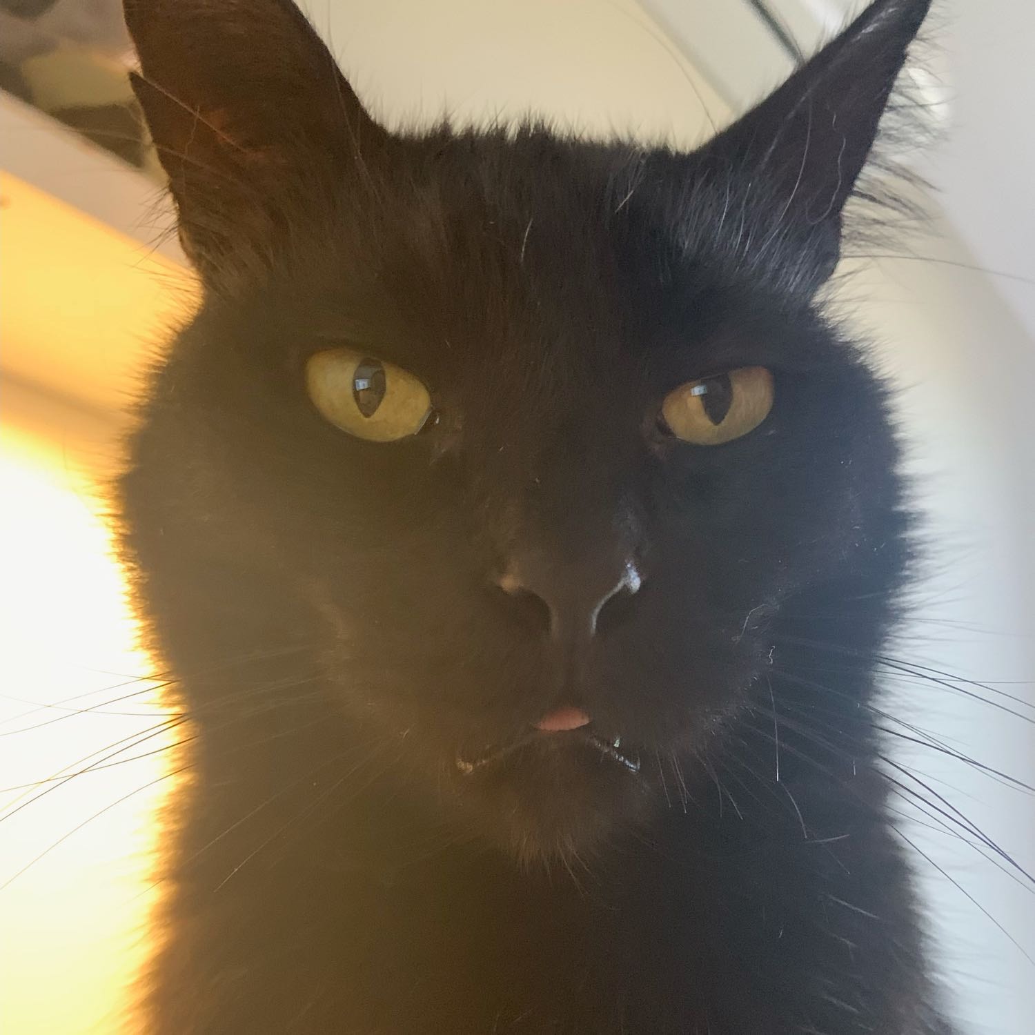 Cadbury