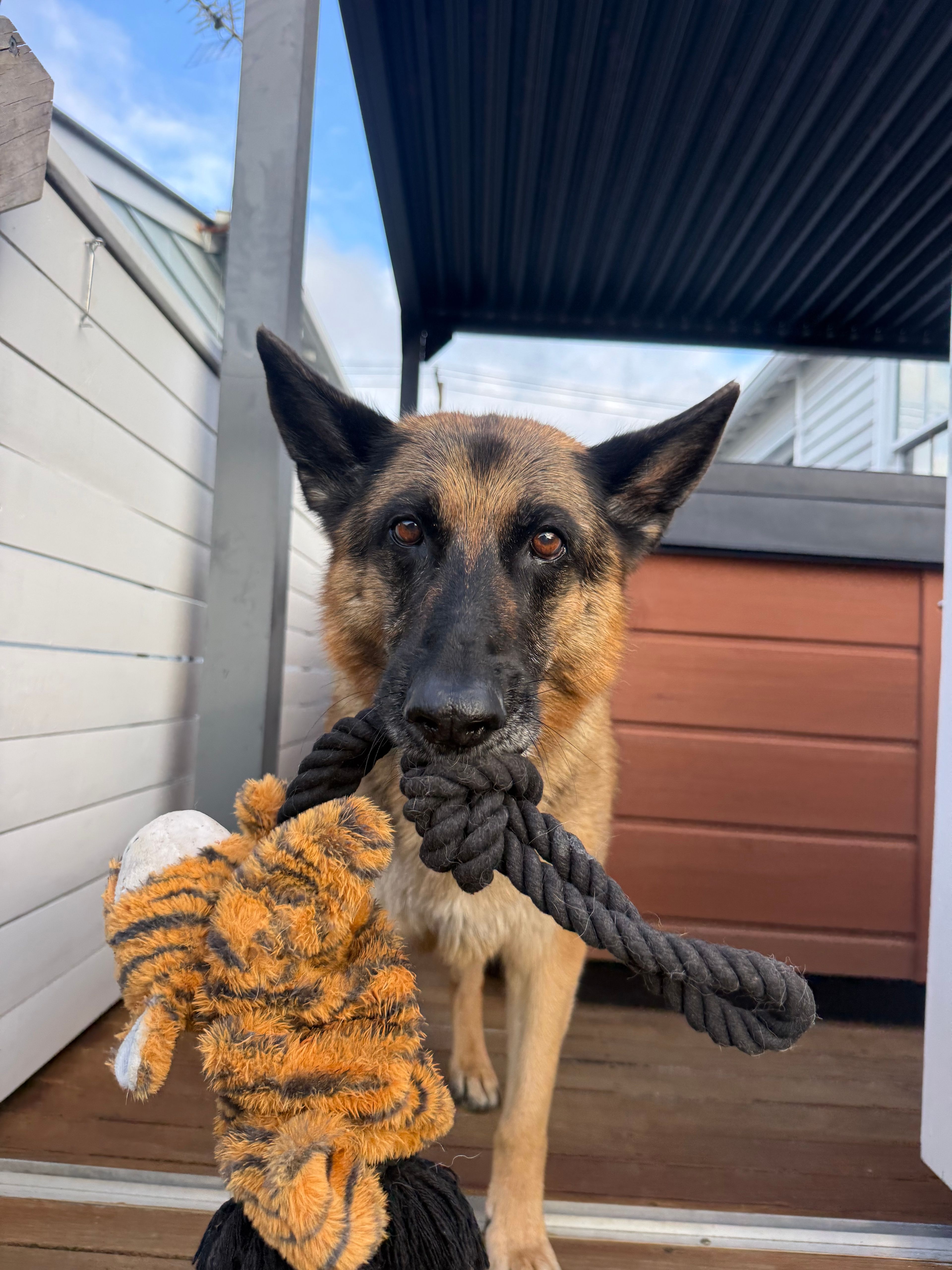 image-6
