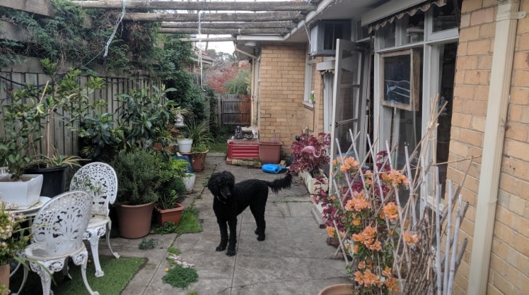 image-4