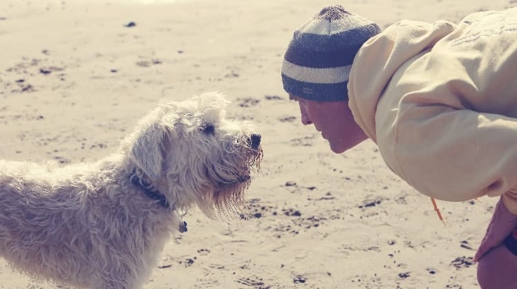 image-0