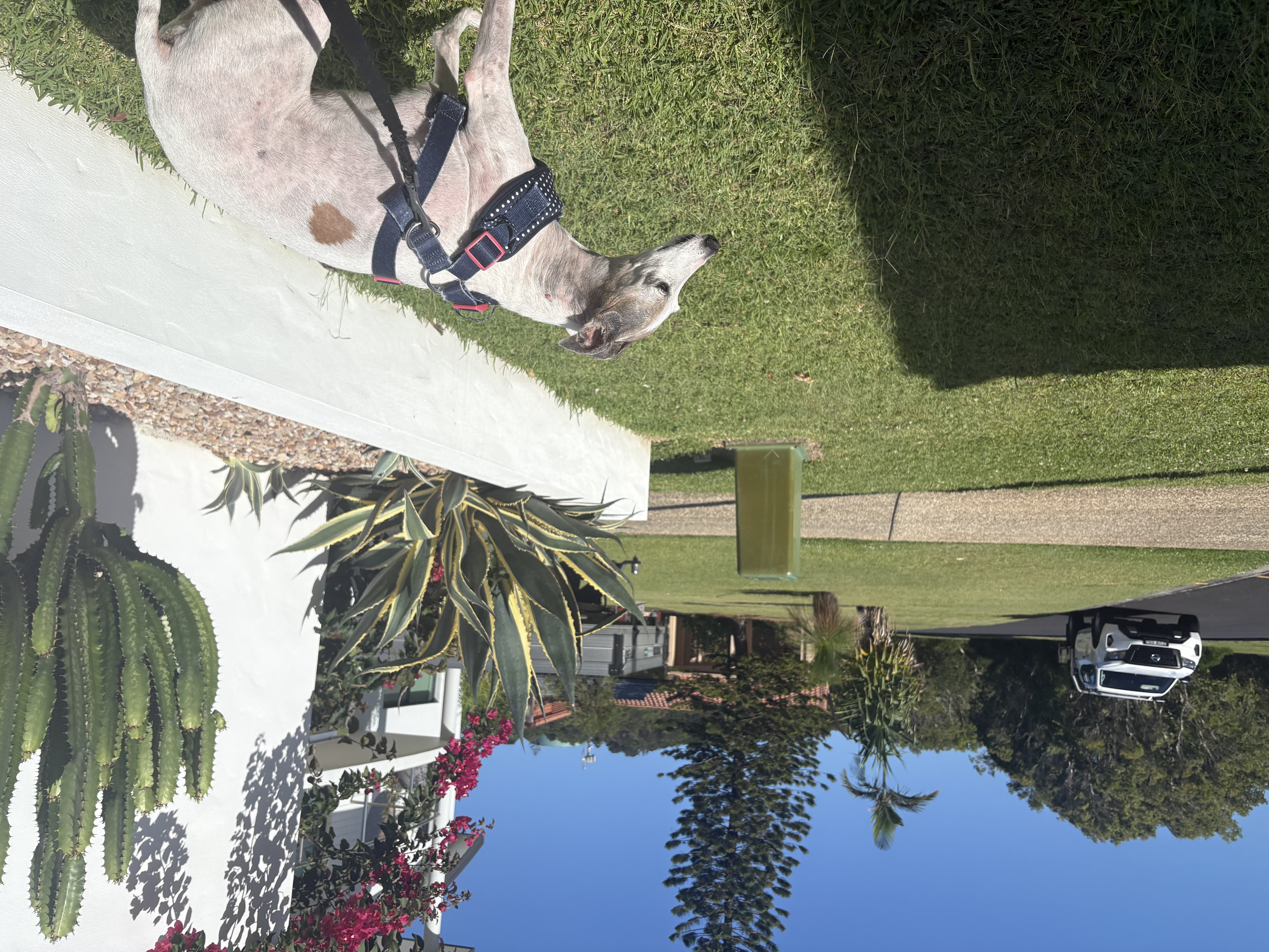 image-3