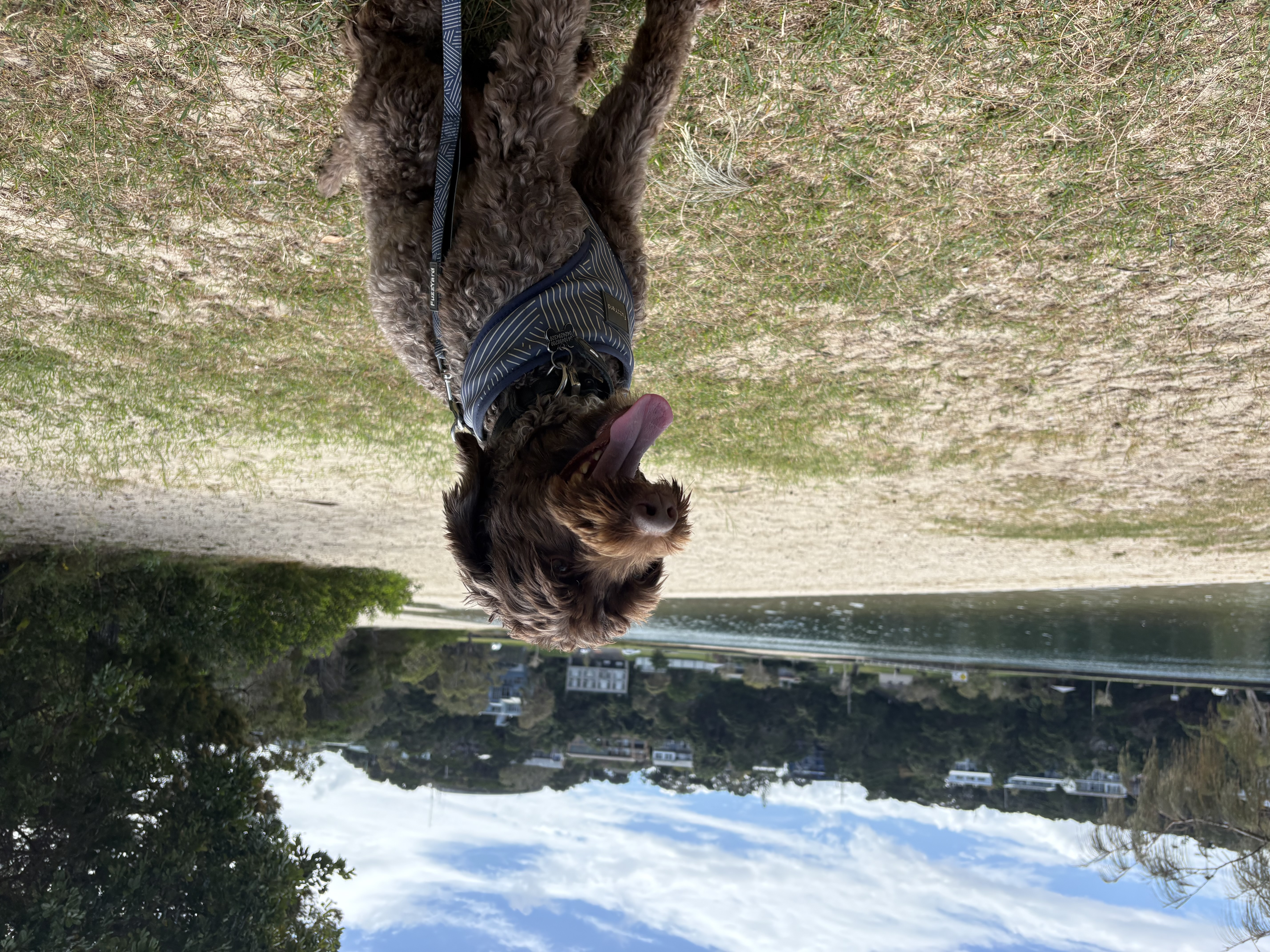 image-4