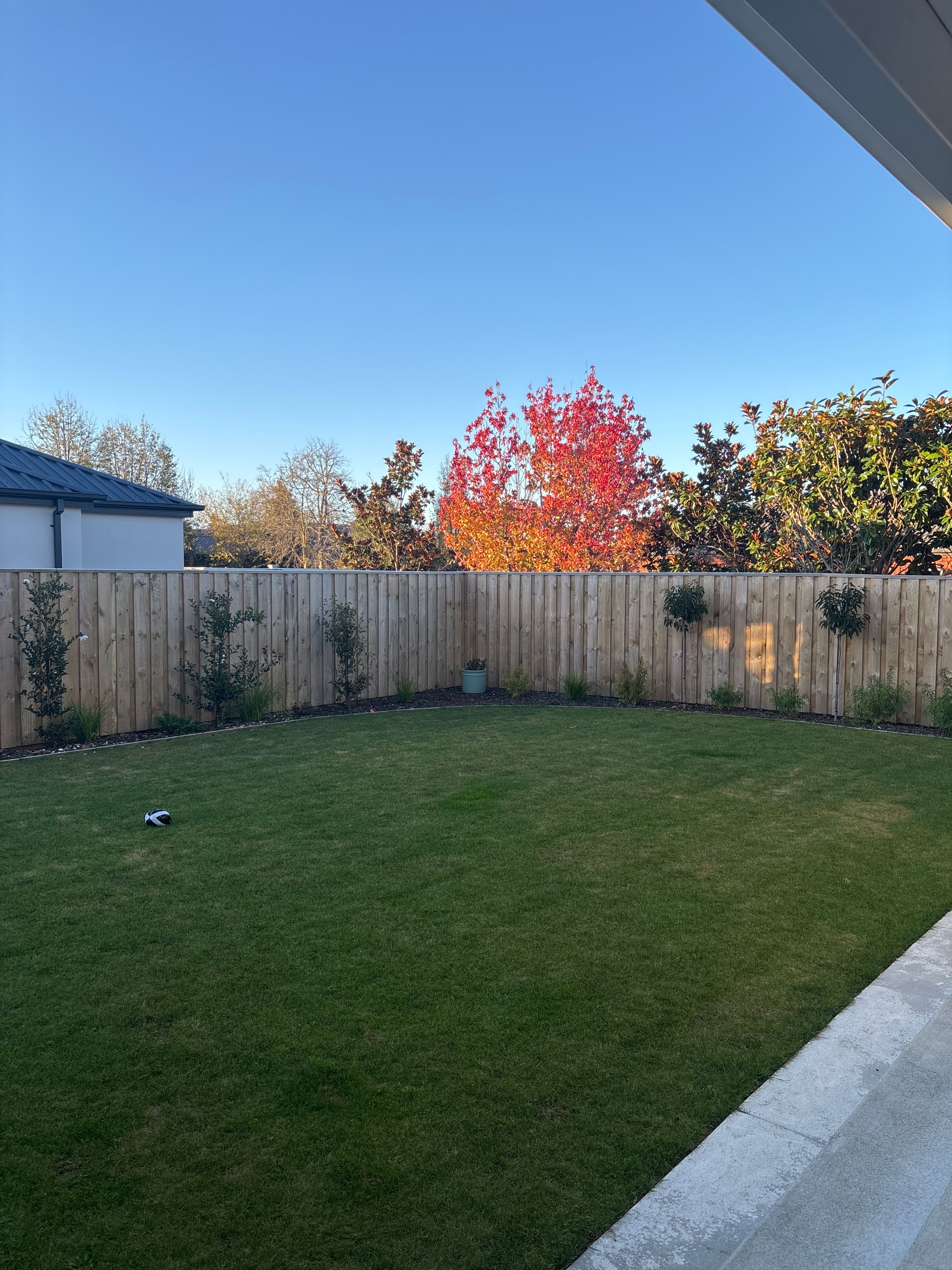 image-16